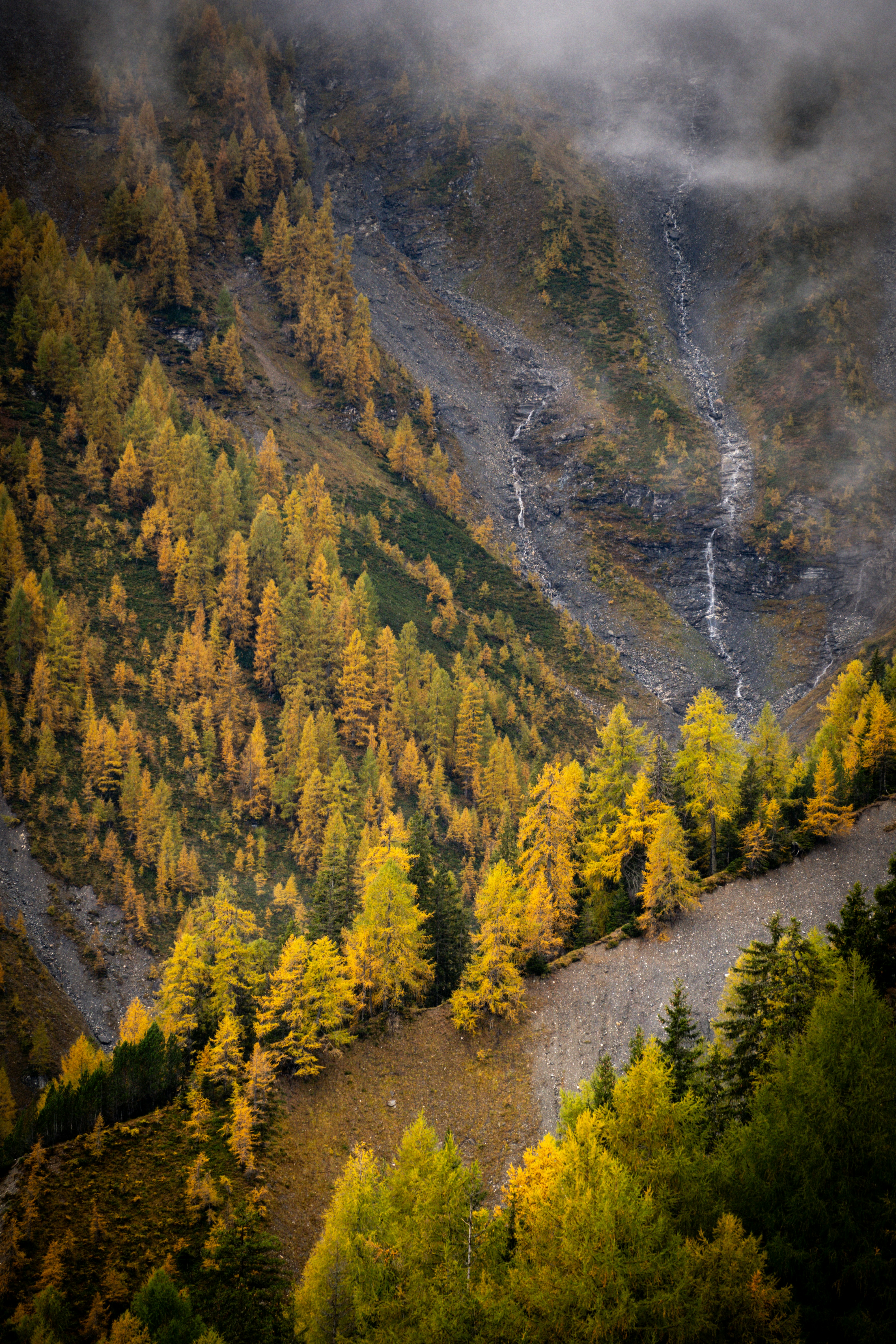 Photo by federi