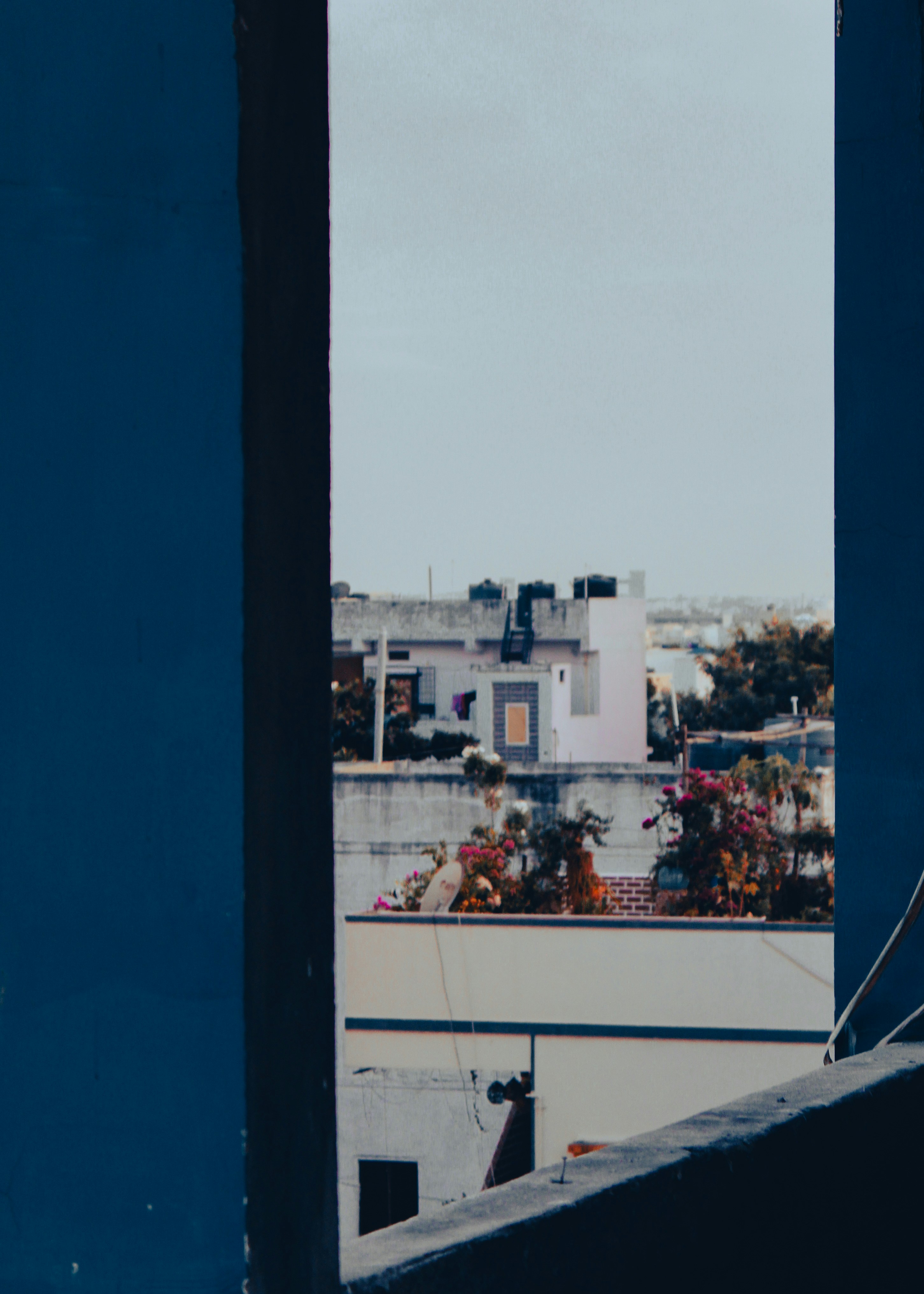 Photo by ebenezer_ebe