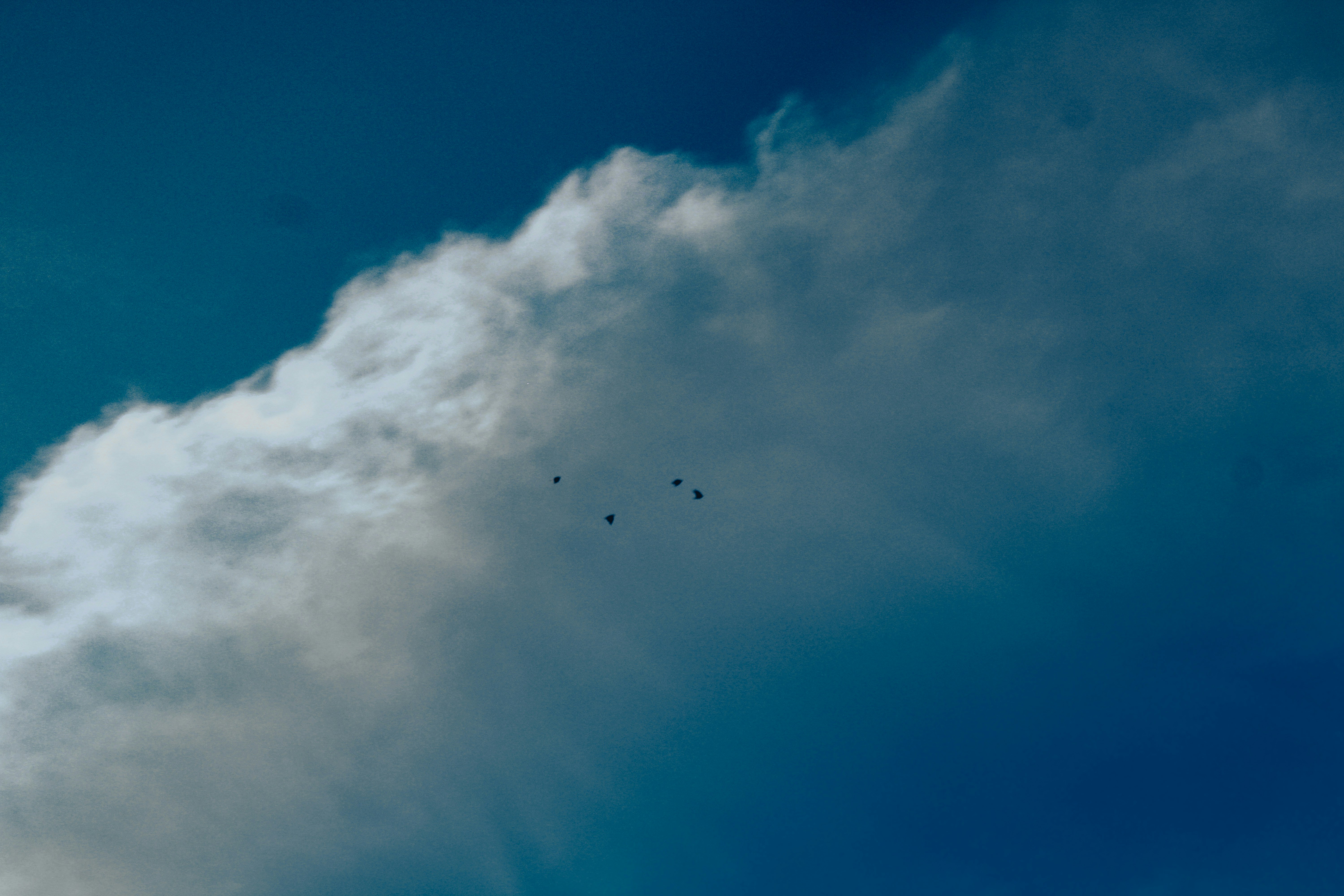 Photo by ebenezer_ebe