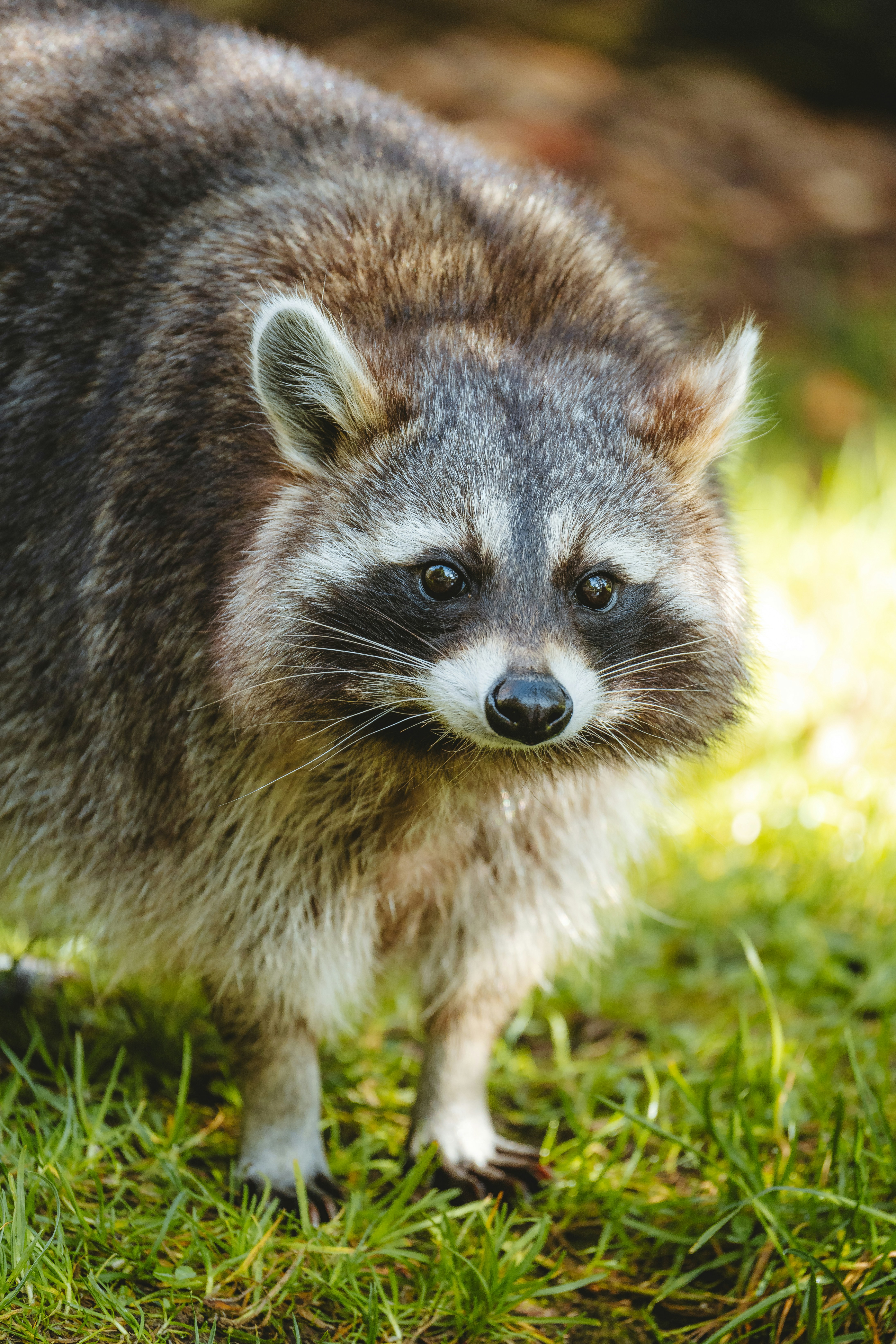 Photo by daniels_photofactory