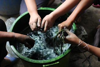 A group of people washing their hands in a bucket