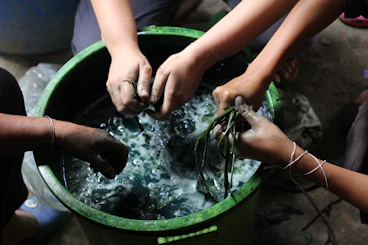 A group of people washing their hands in a bucket