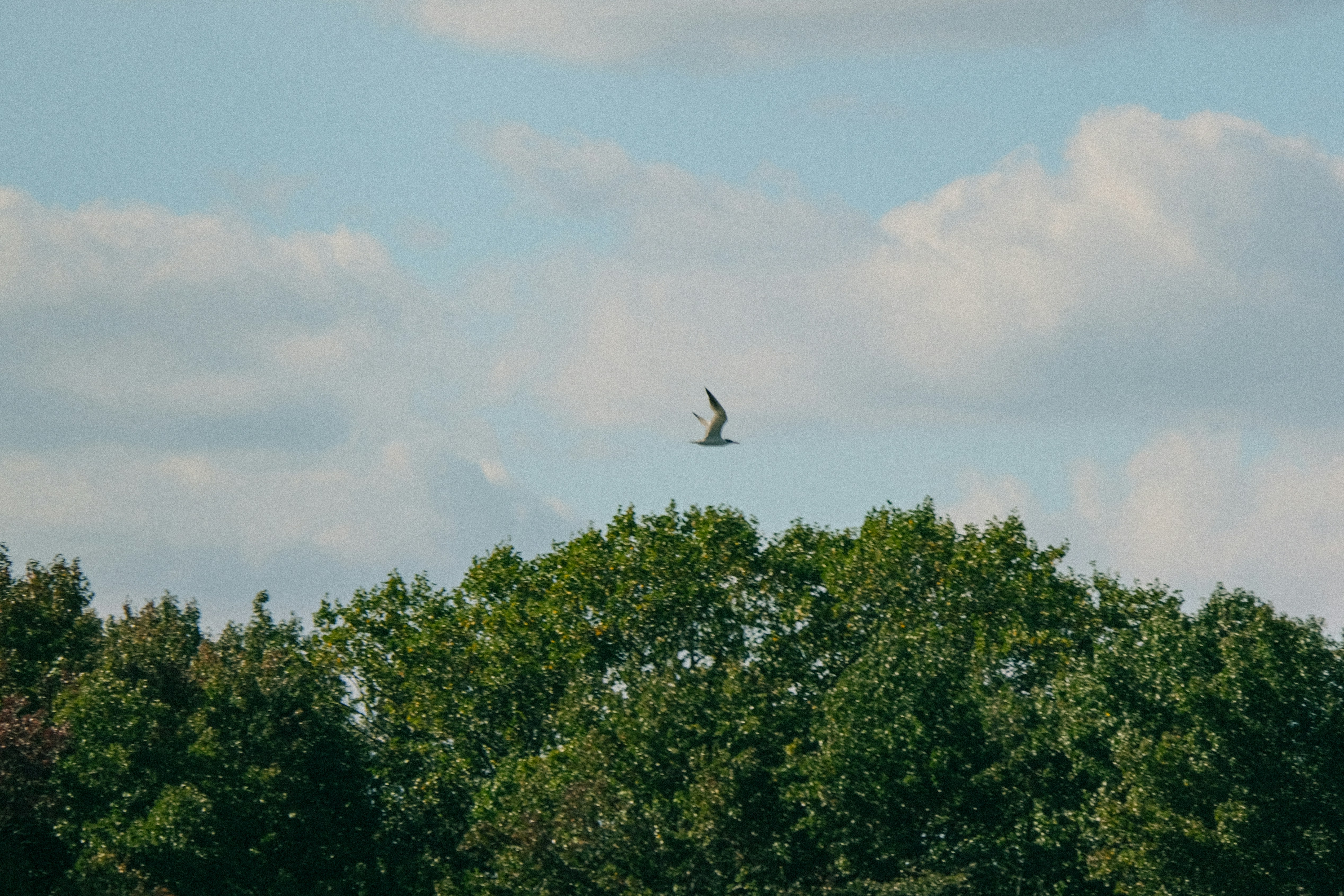 Photo by drewster456