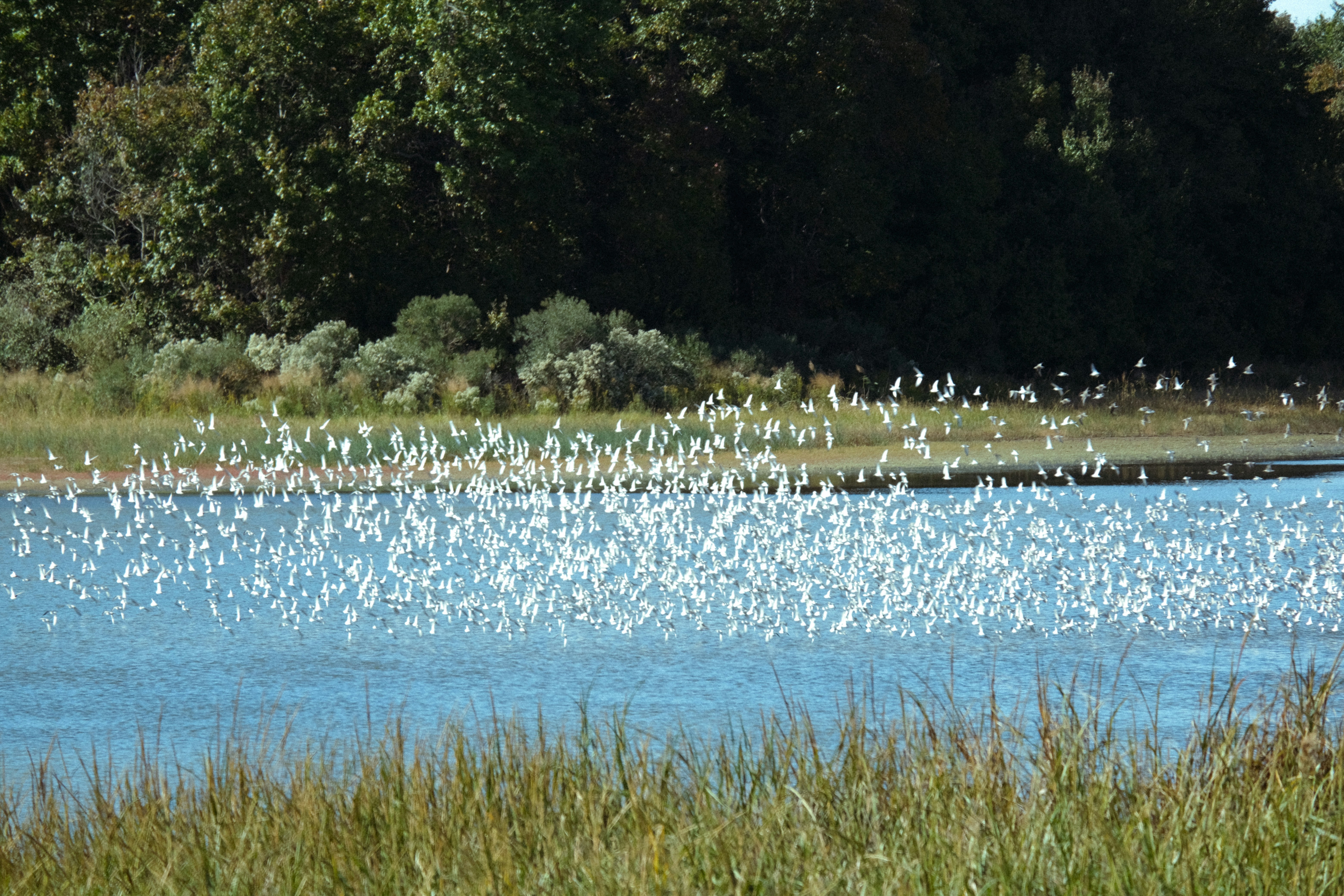 Photo by drewster456