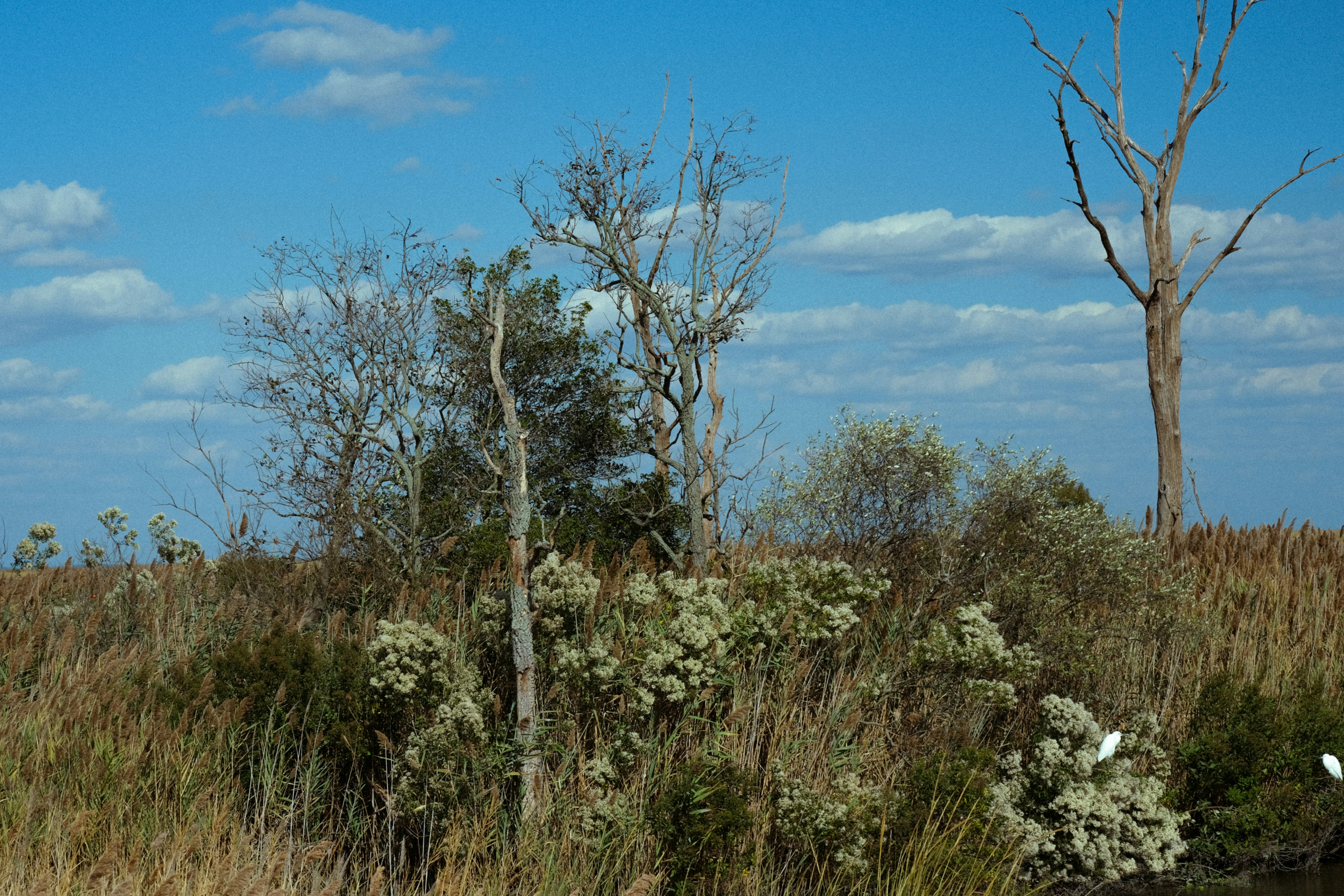 Photo by drewster456