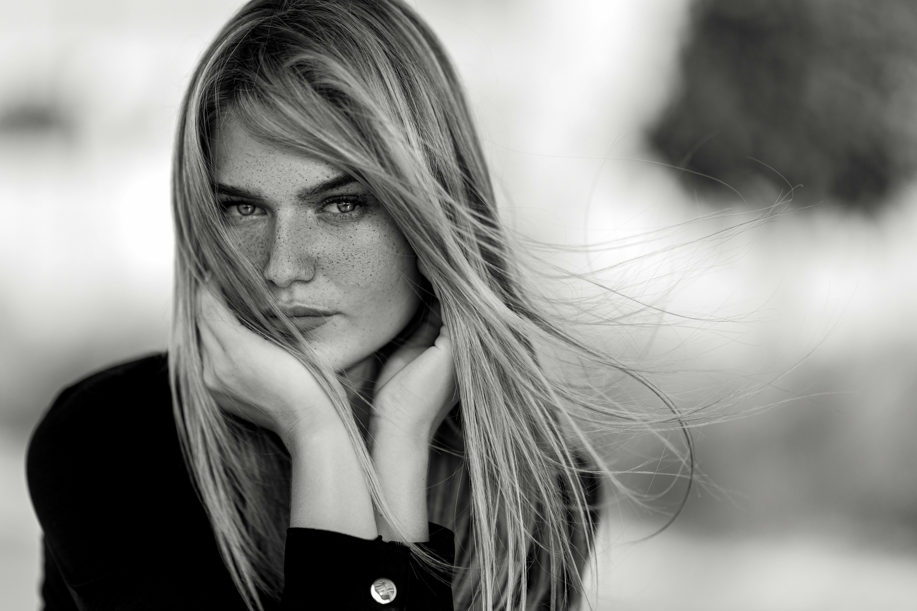 Photo by shahinkhalaji