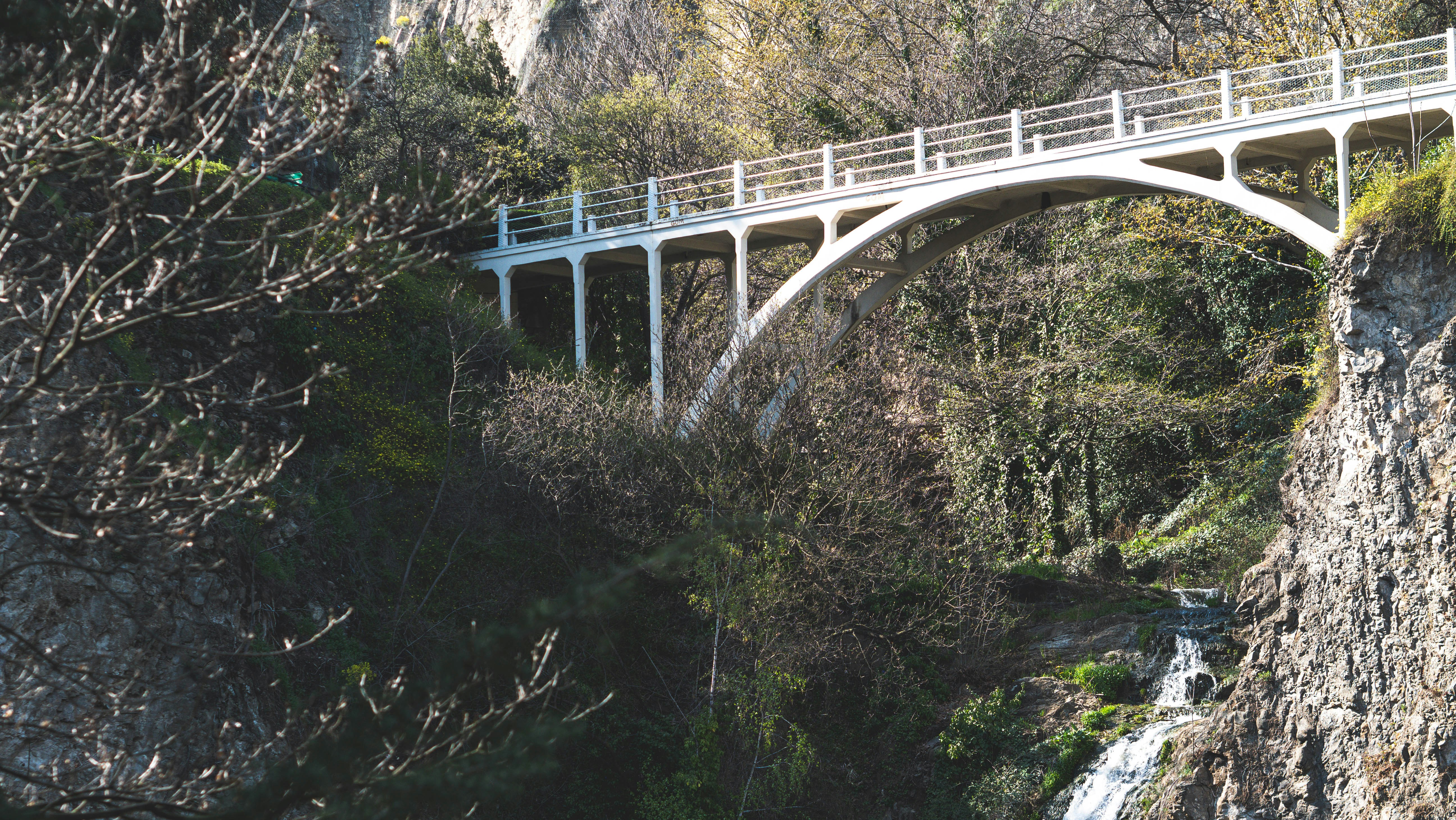 Ponte Scaligero photo 3
