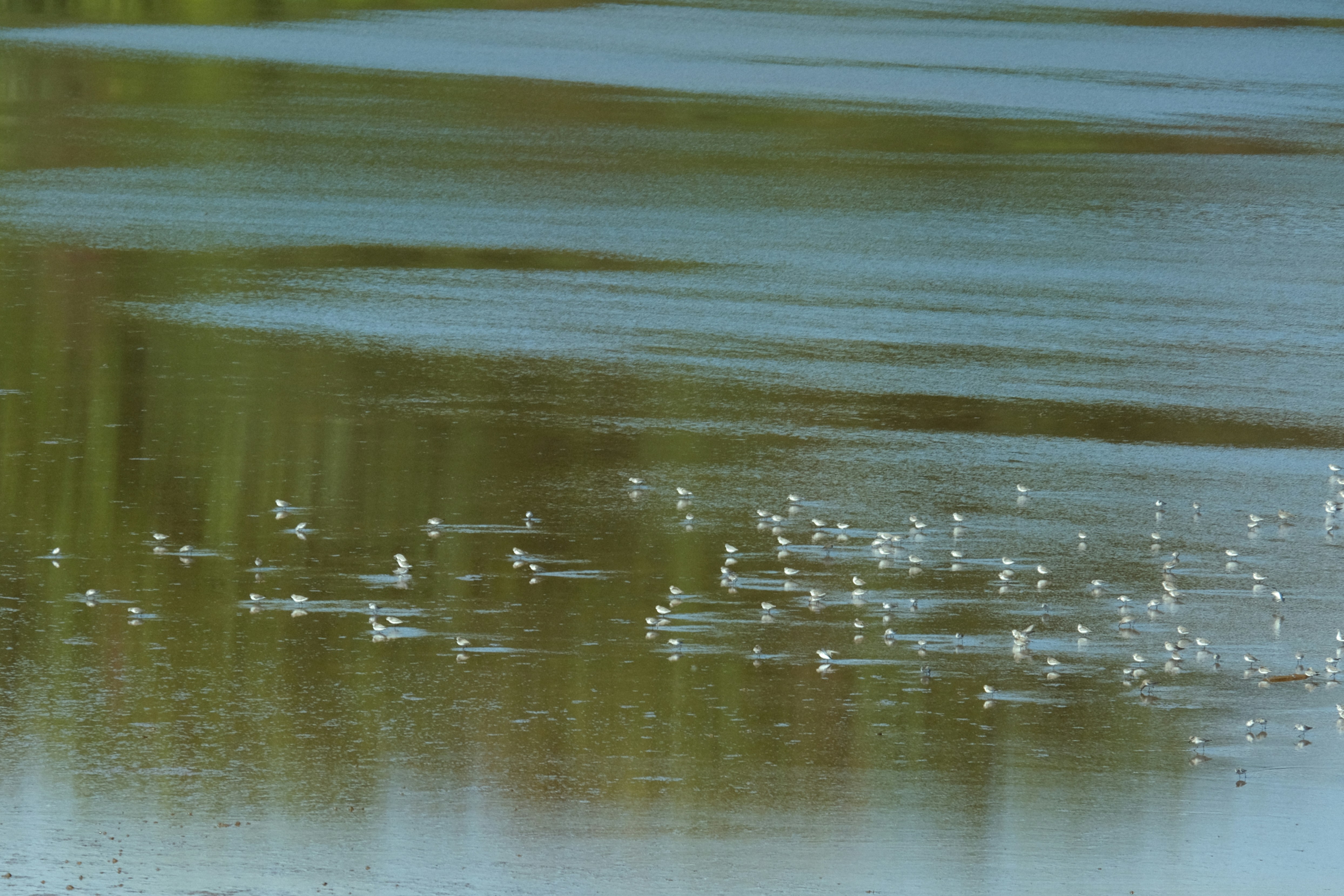 Photo by drewster456