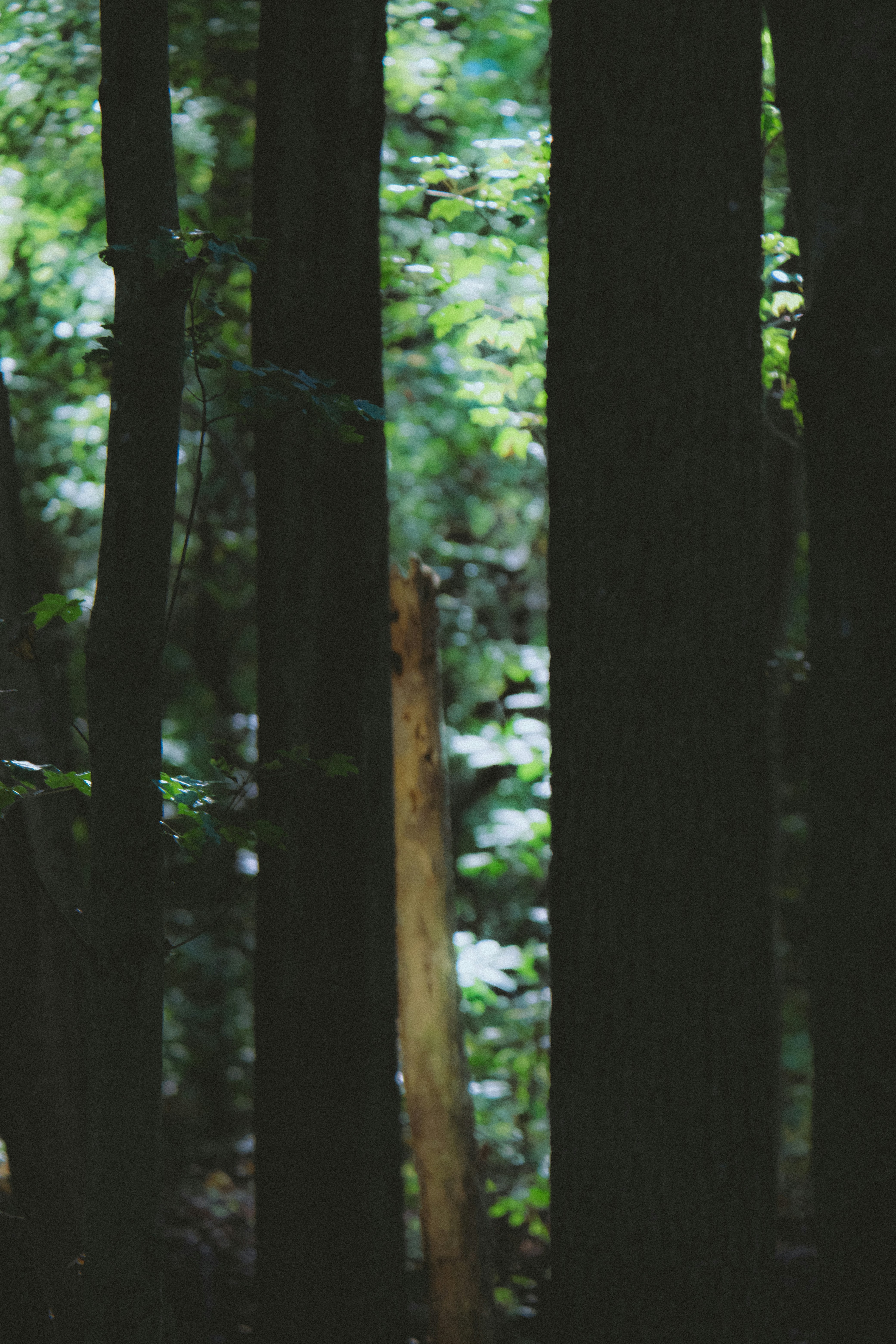 Photo by drewster456