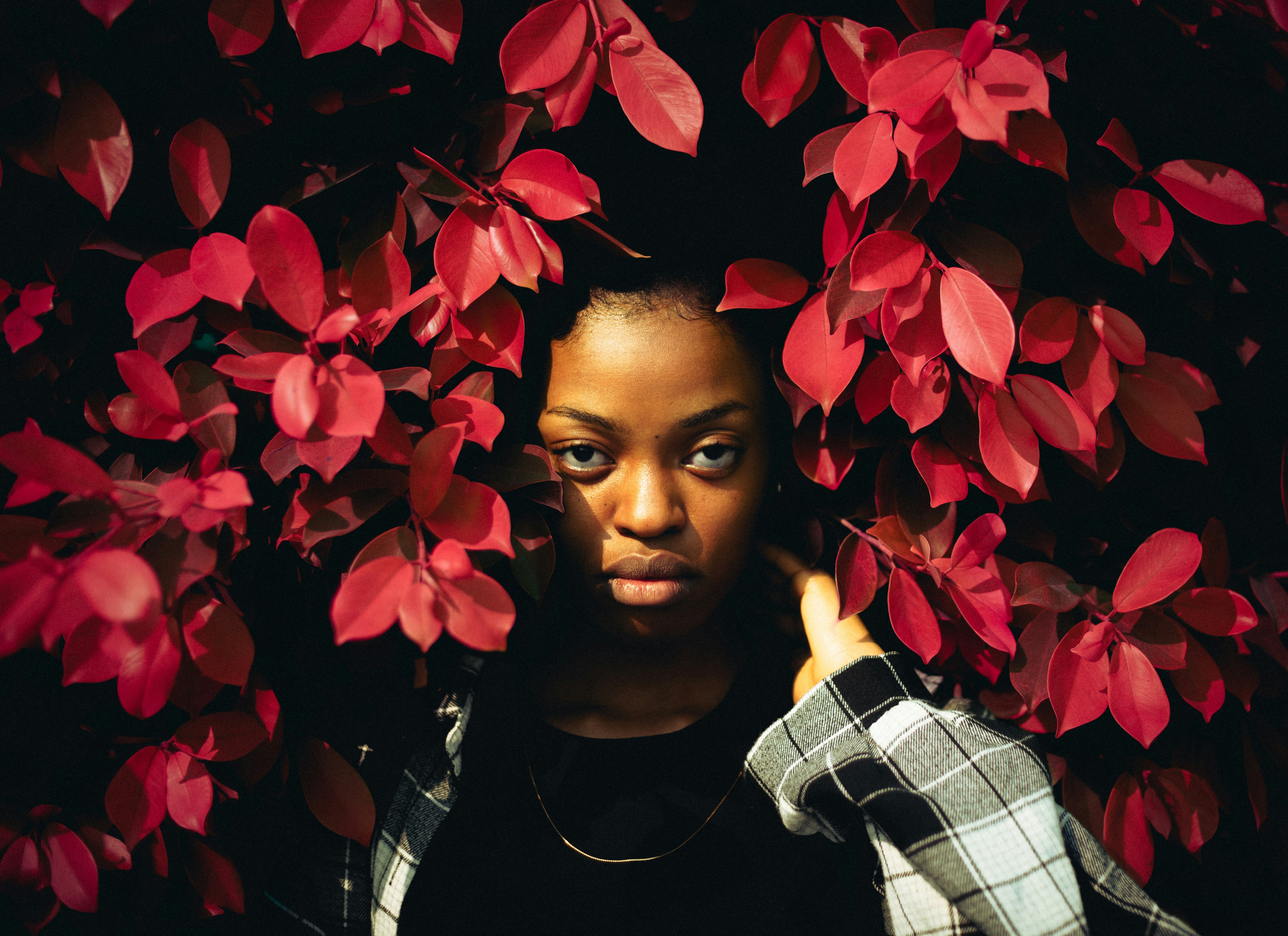 Photo by travyskande