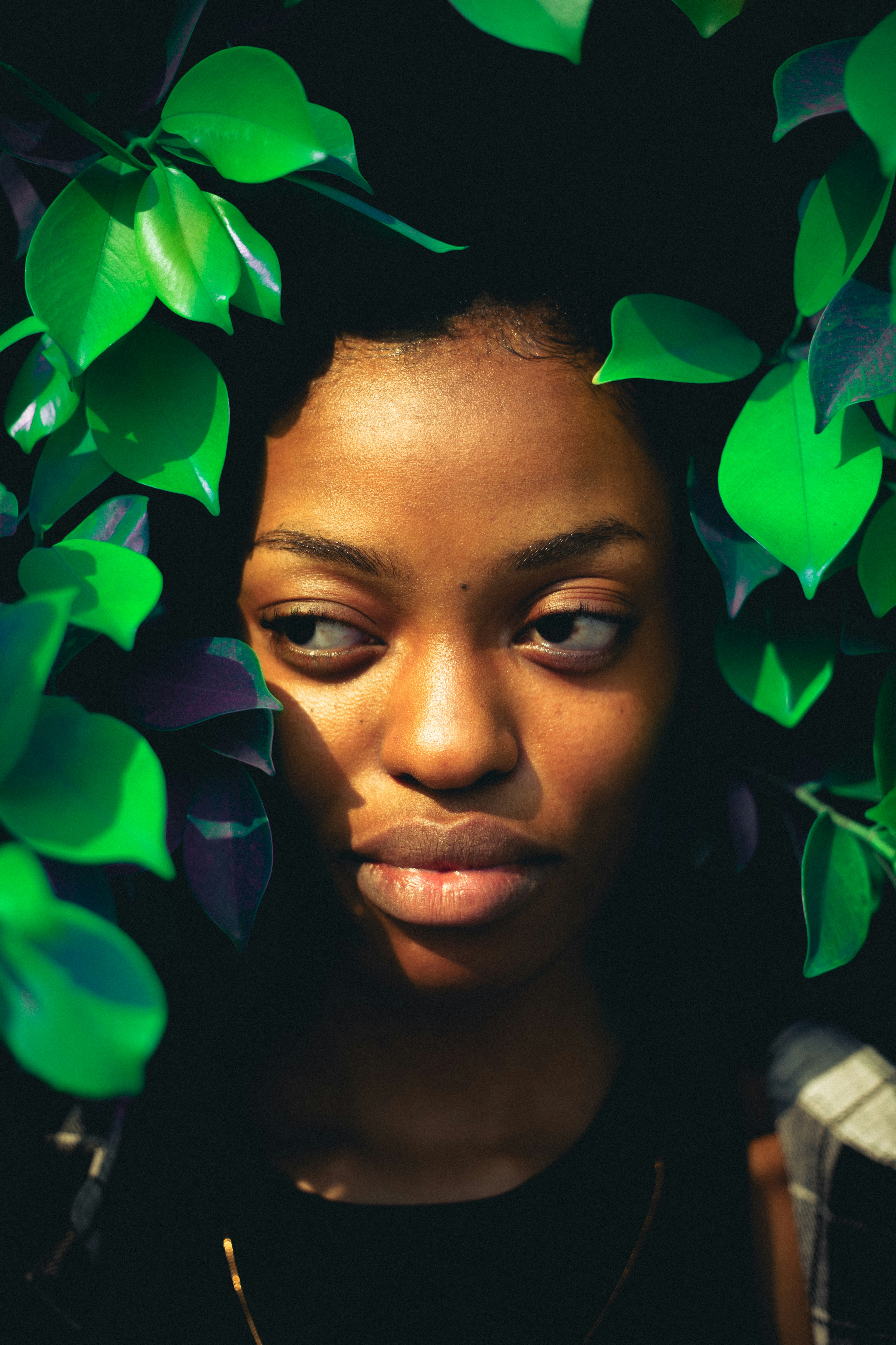 비타민 C의 역할