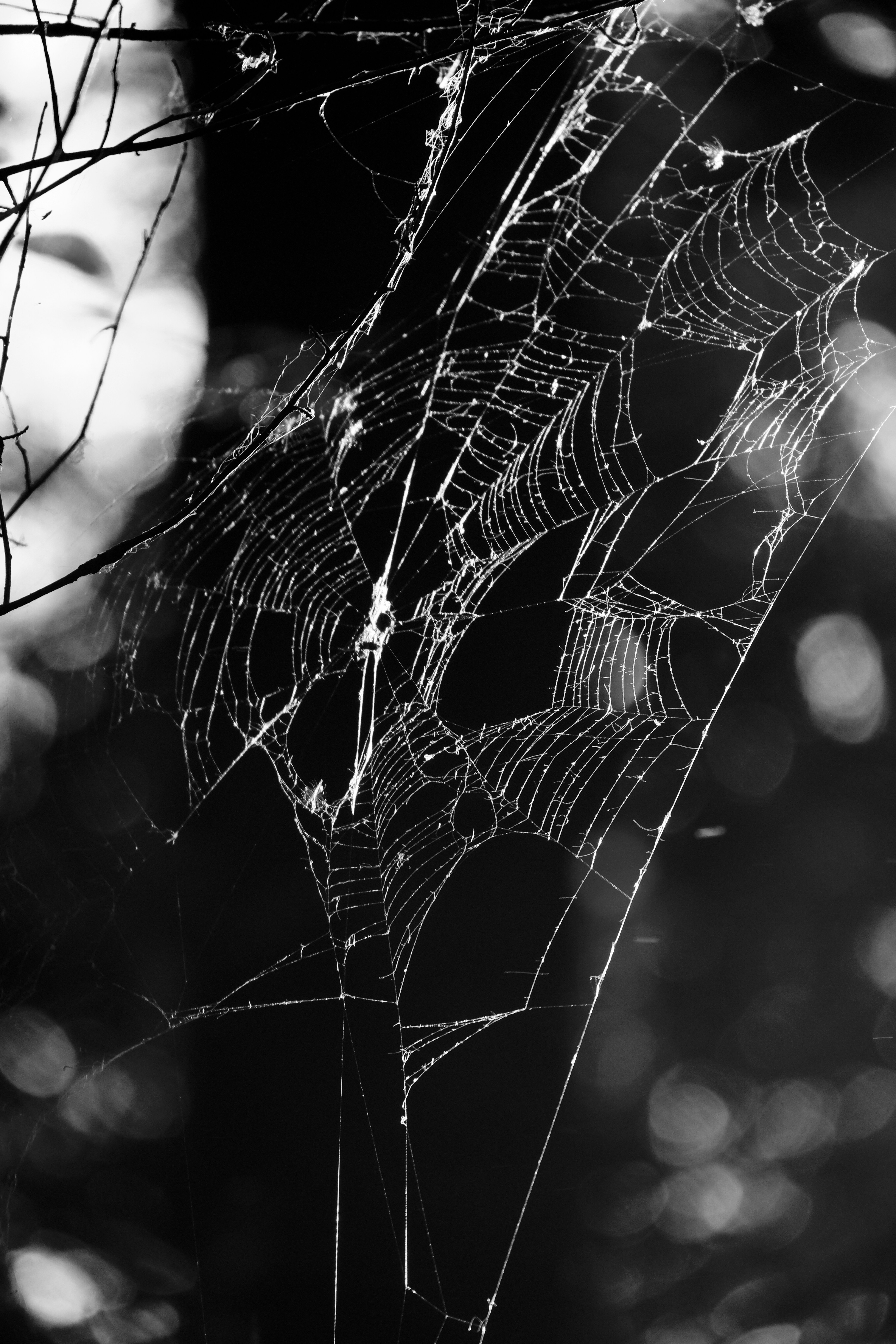 Photo by drewster456