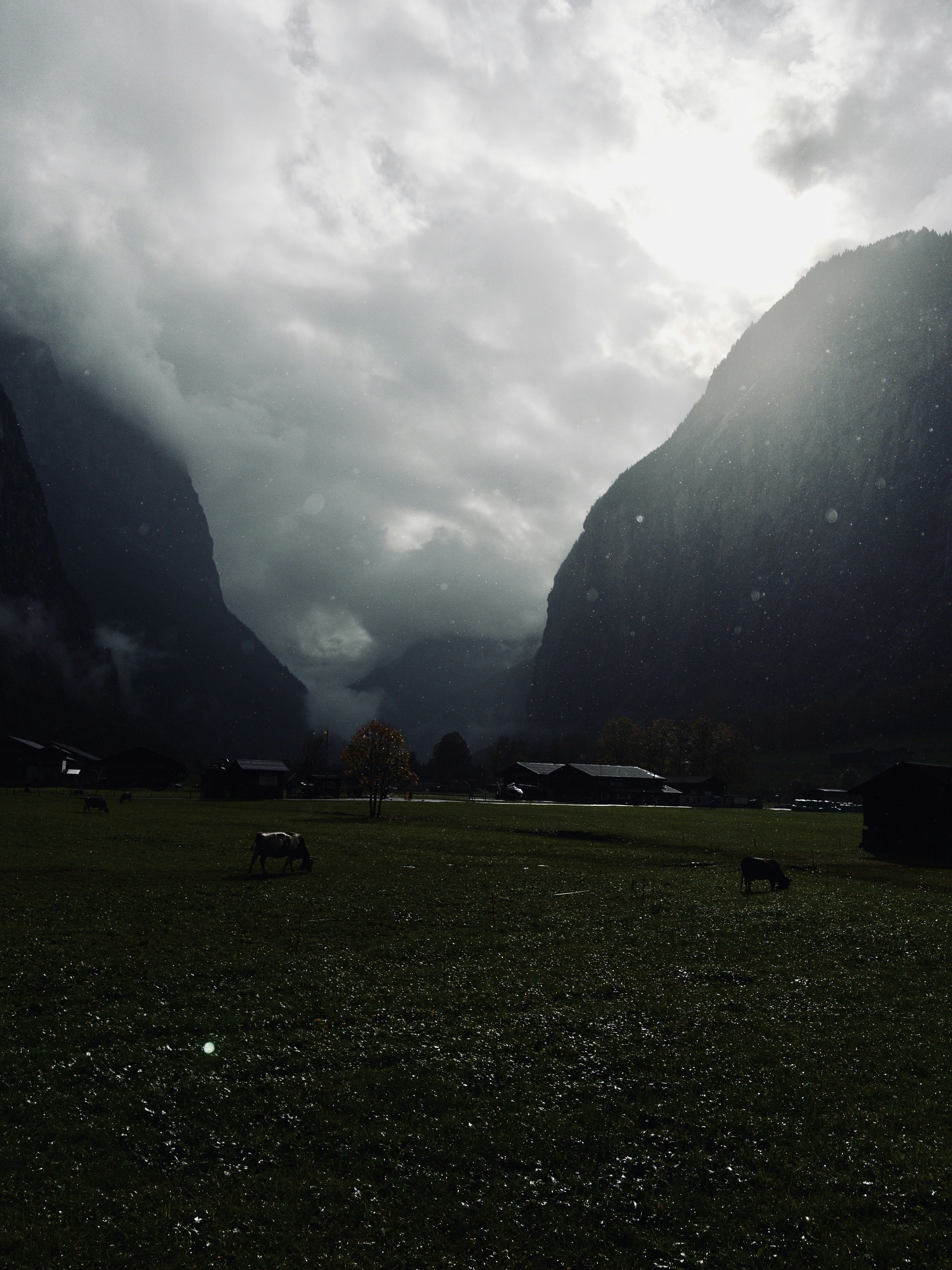 A grassy field with mountains in the background