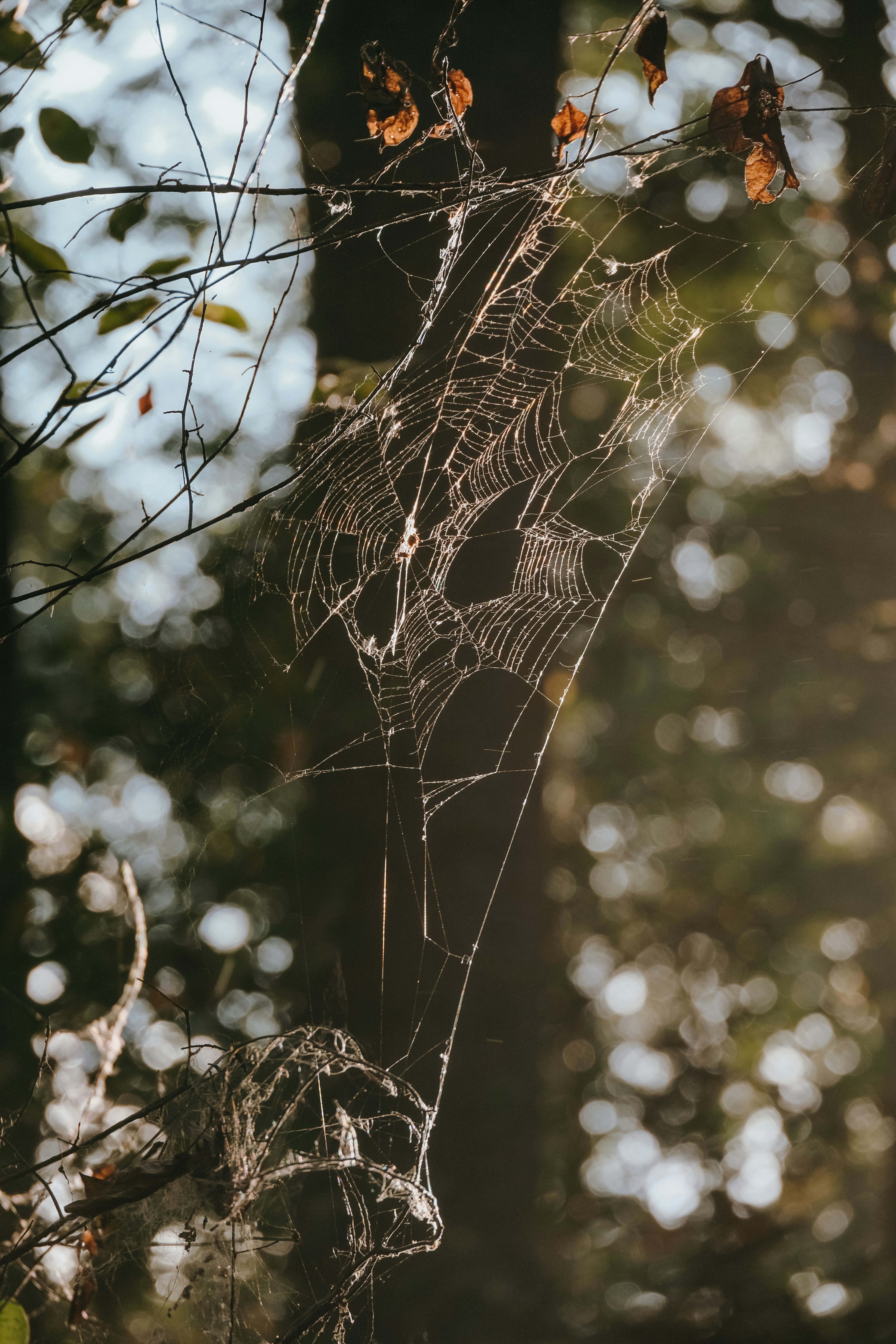 Photo by drewster456