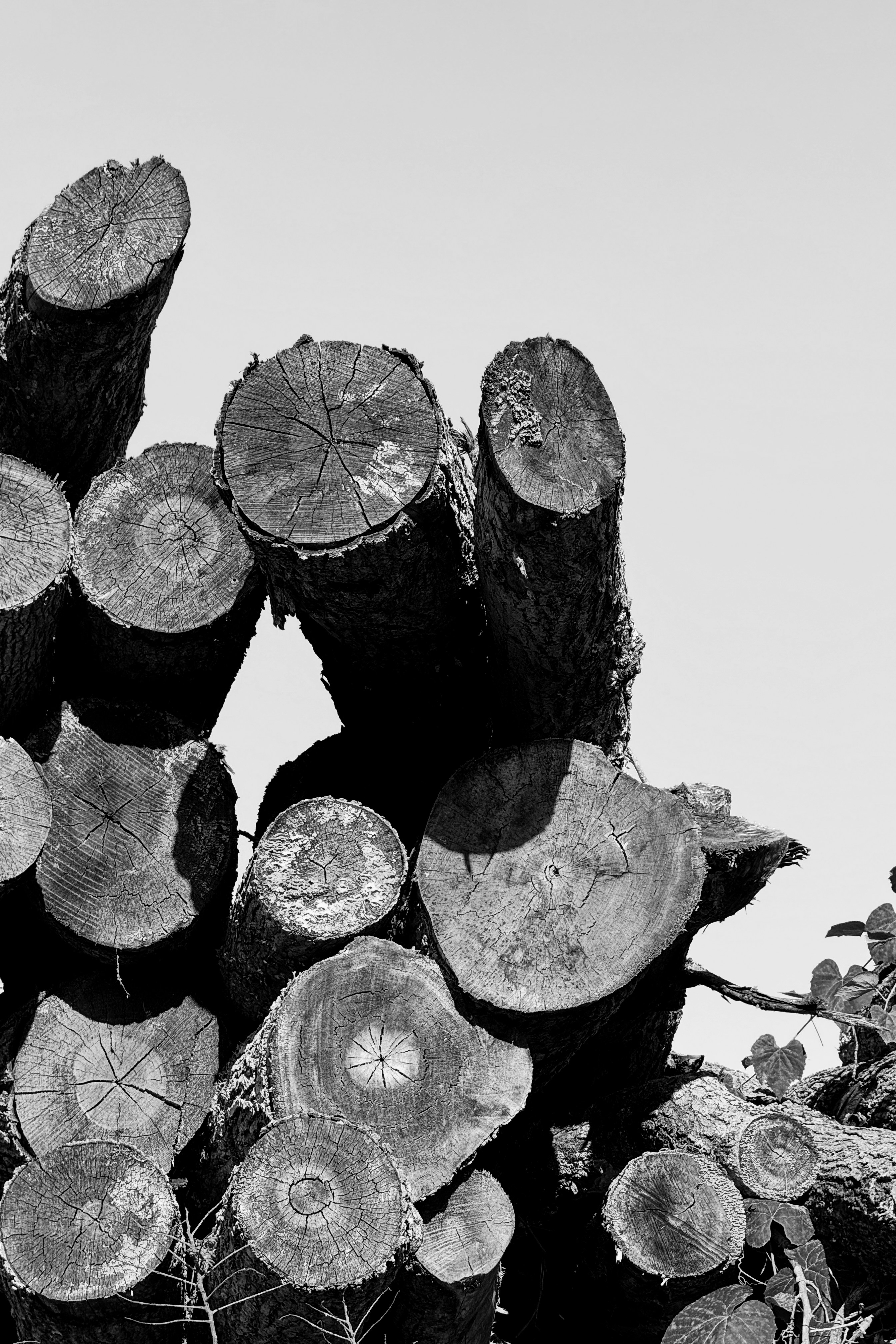 Photo by drewster456