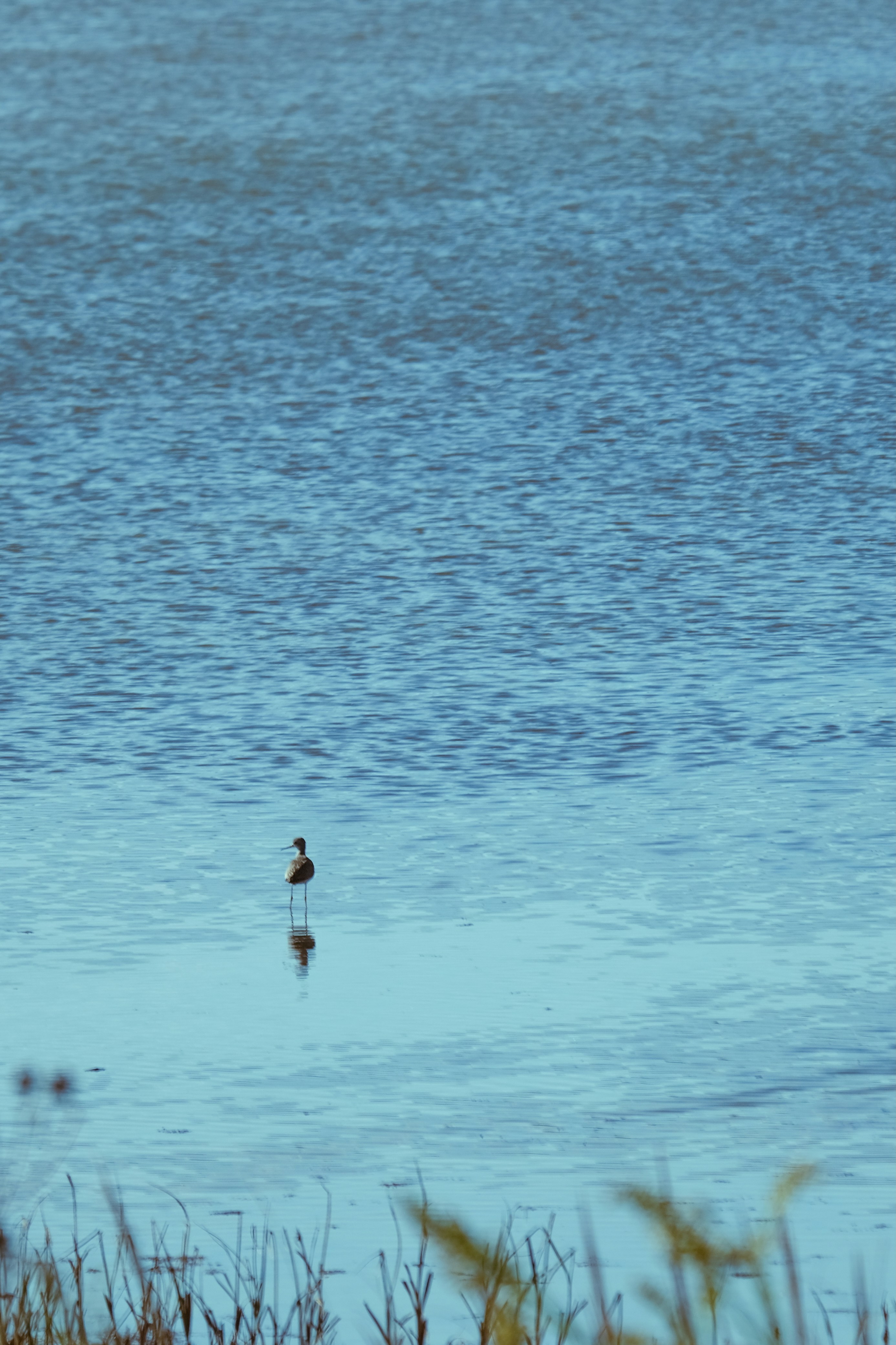 Photo by drewster456