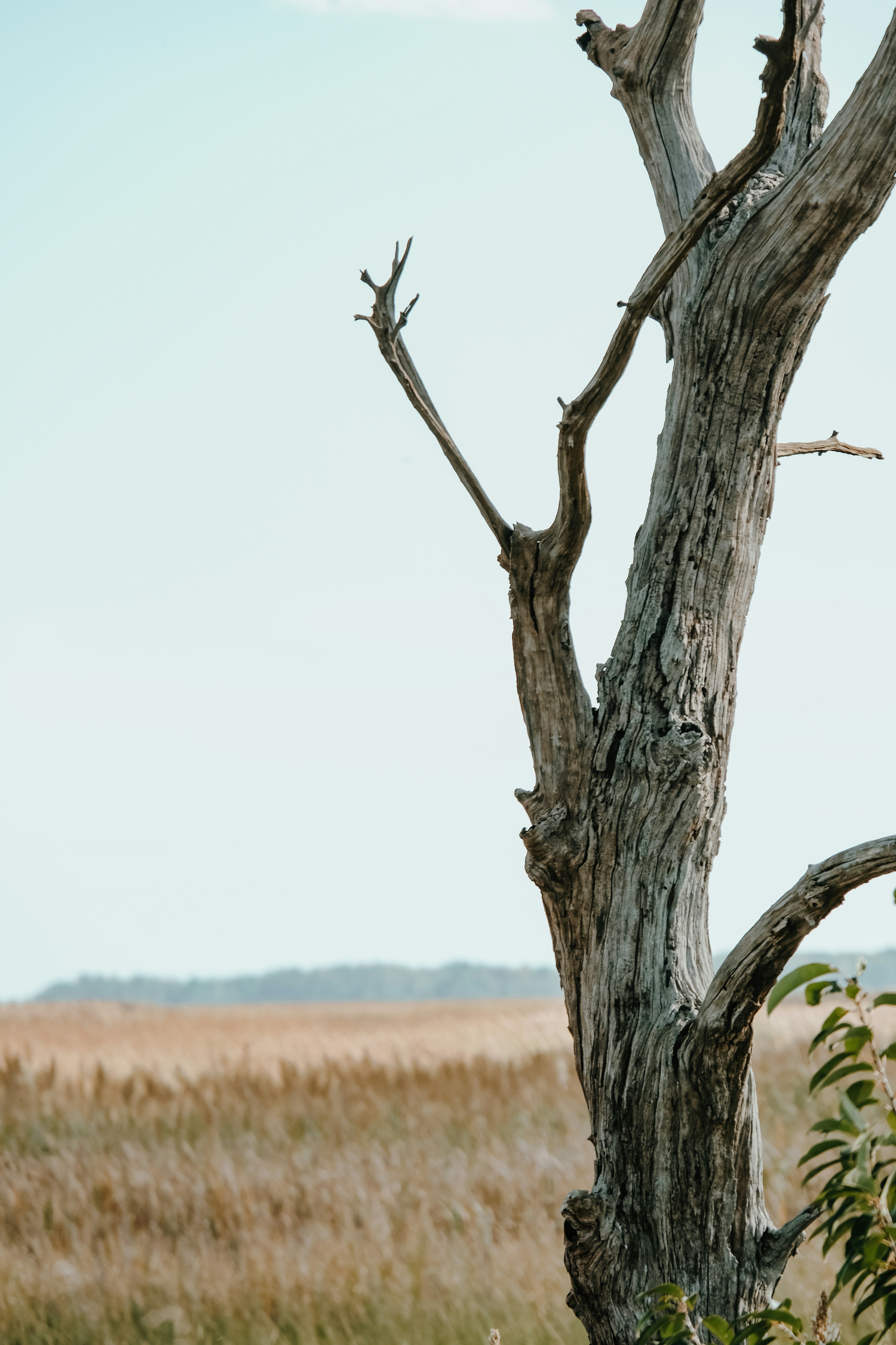 Photo by drewster456