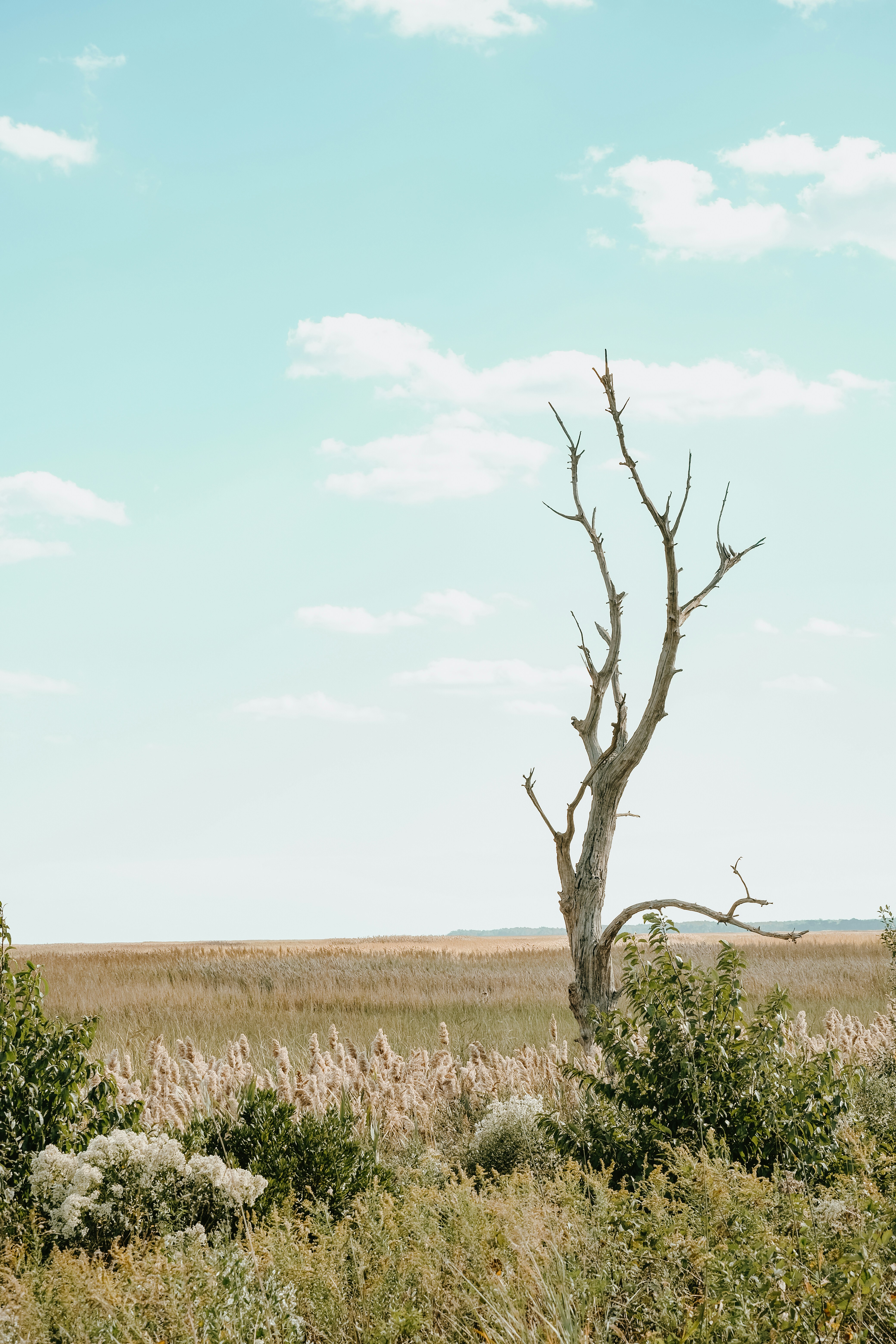 Photo by drewster456