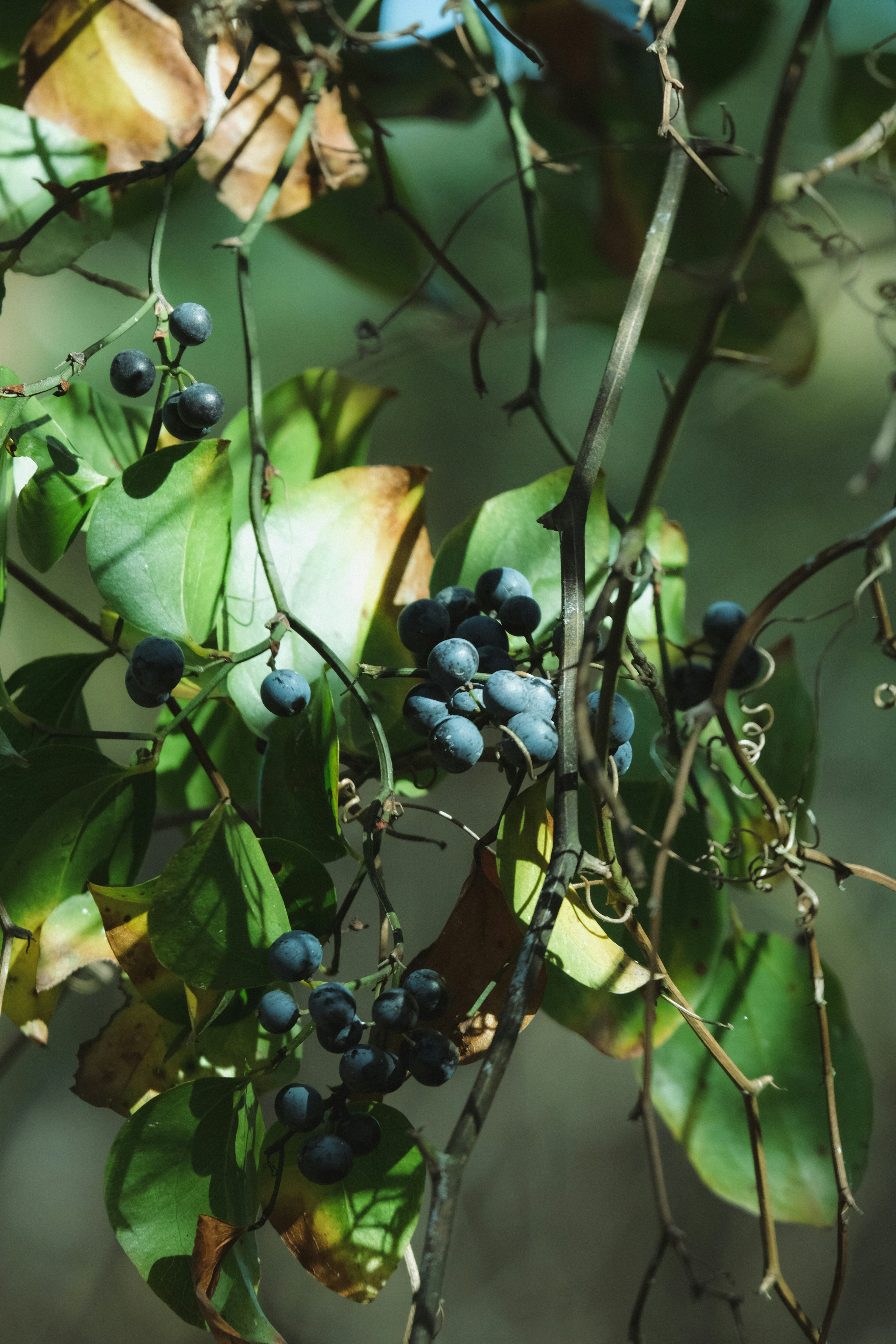 Photo by drewster456