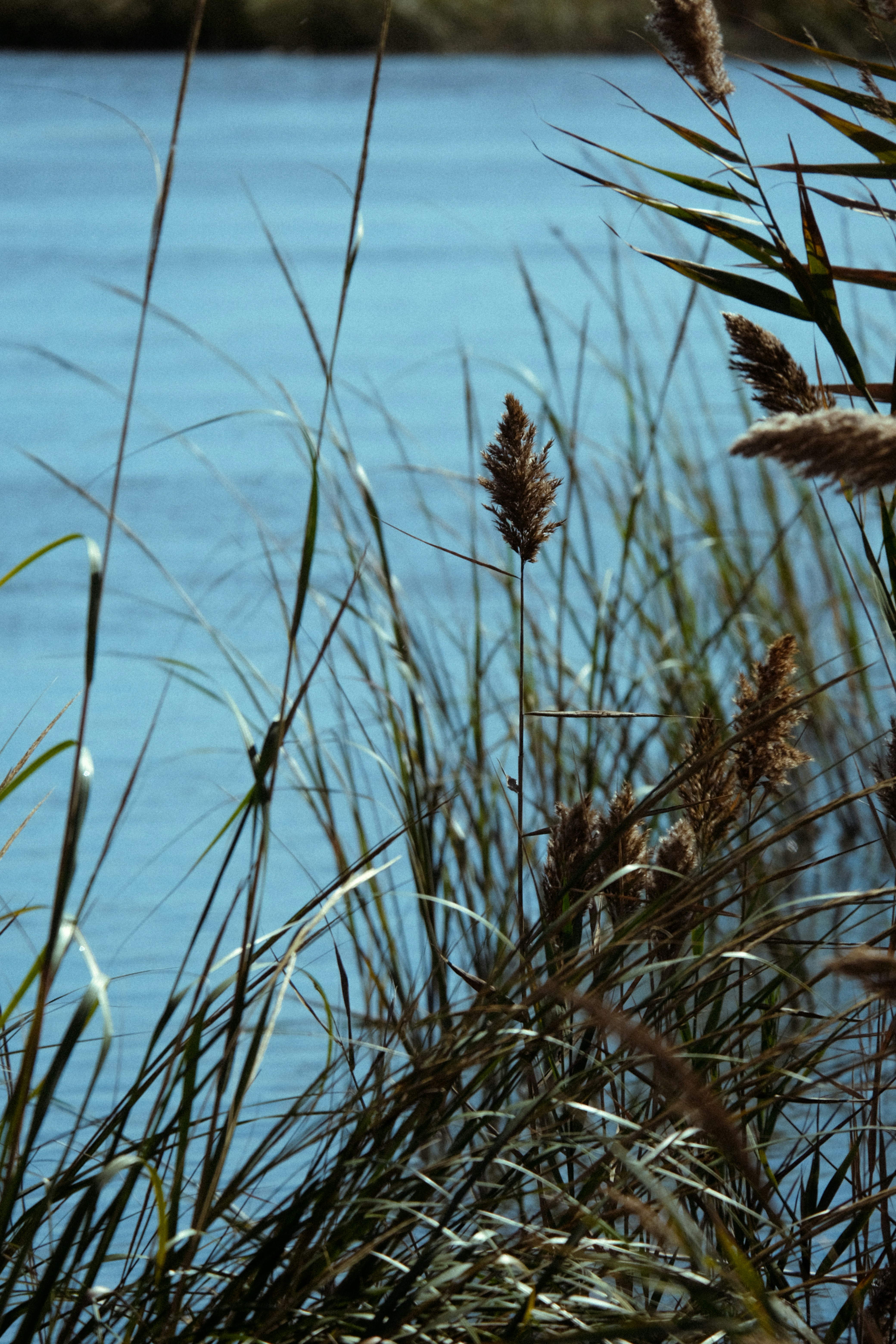 Photo by drewster456