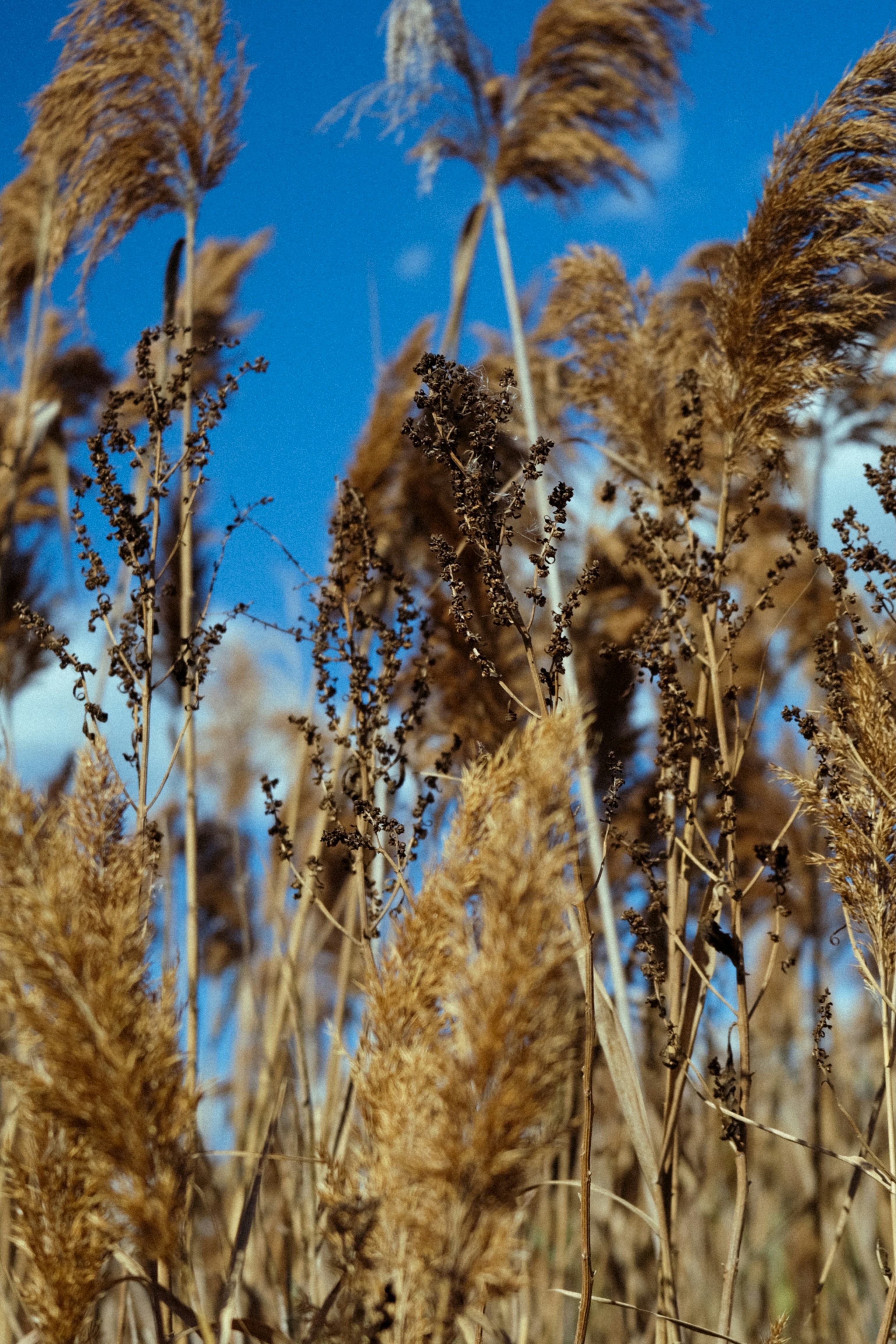 Photo by drewster456