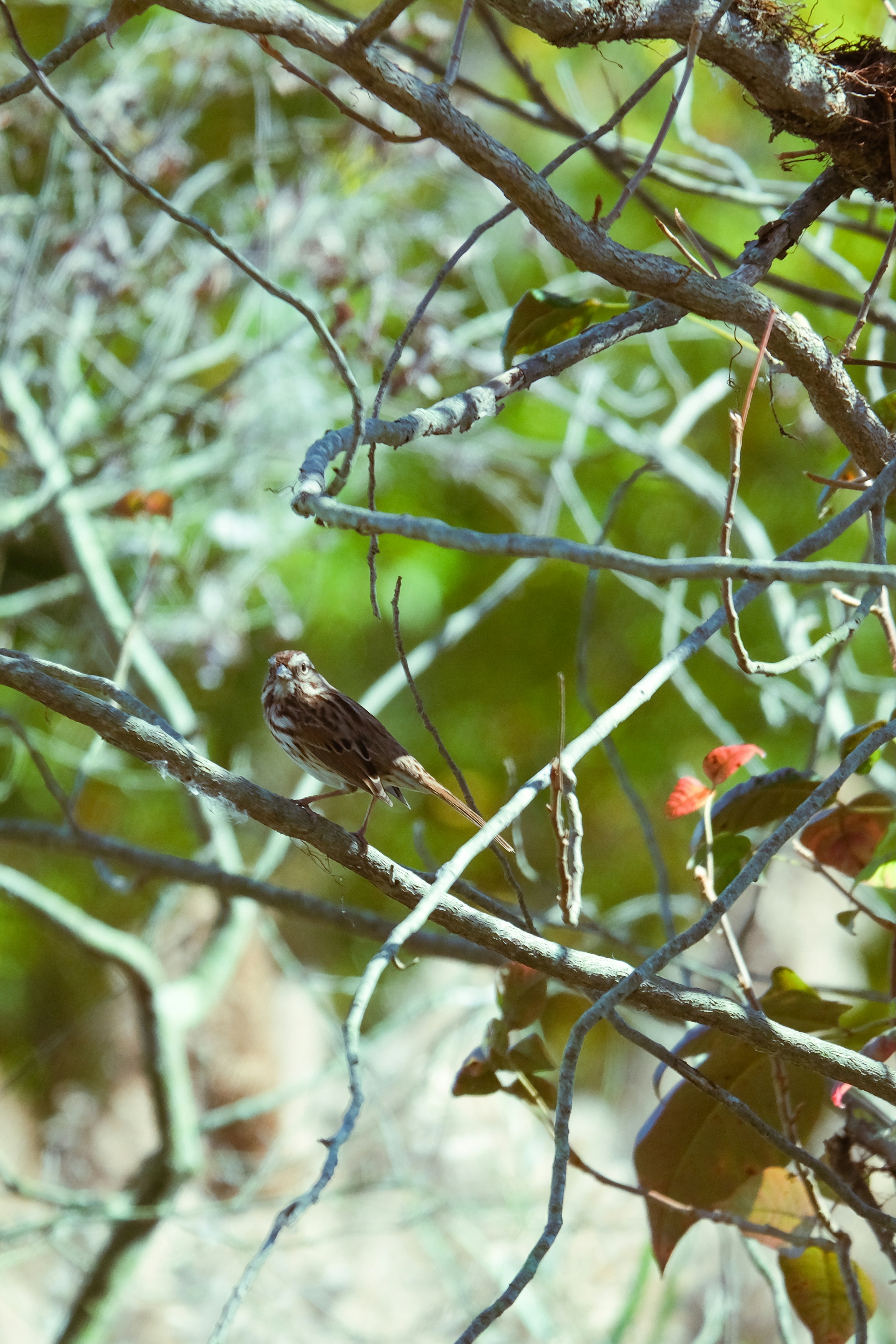 Photo by drewster456