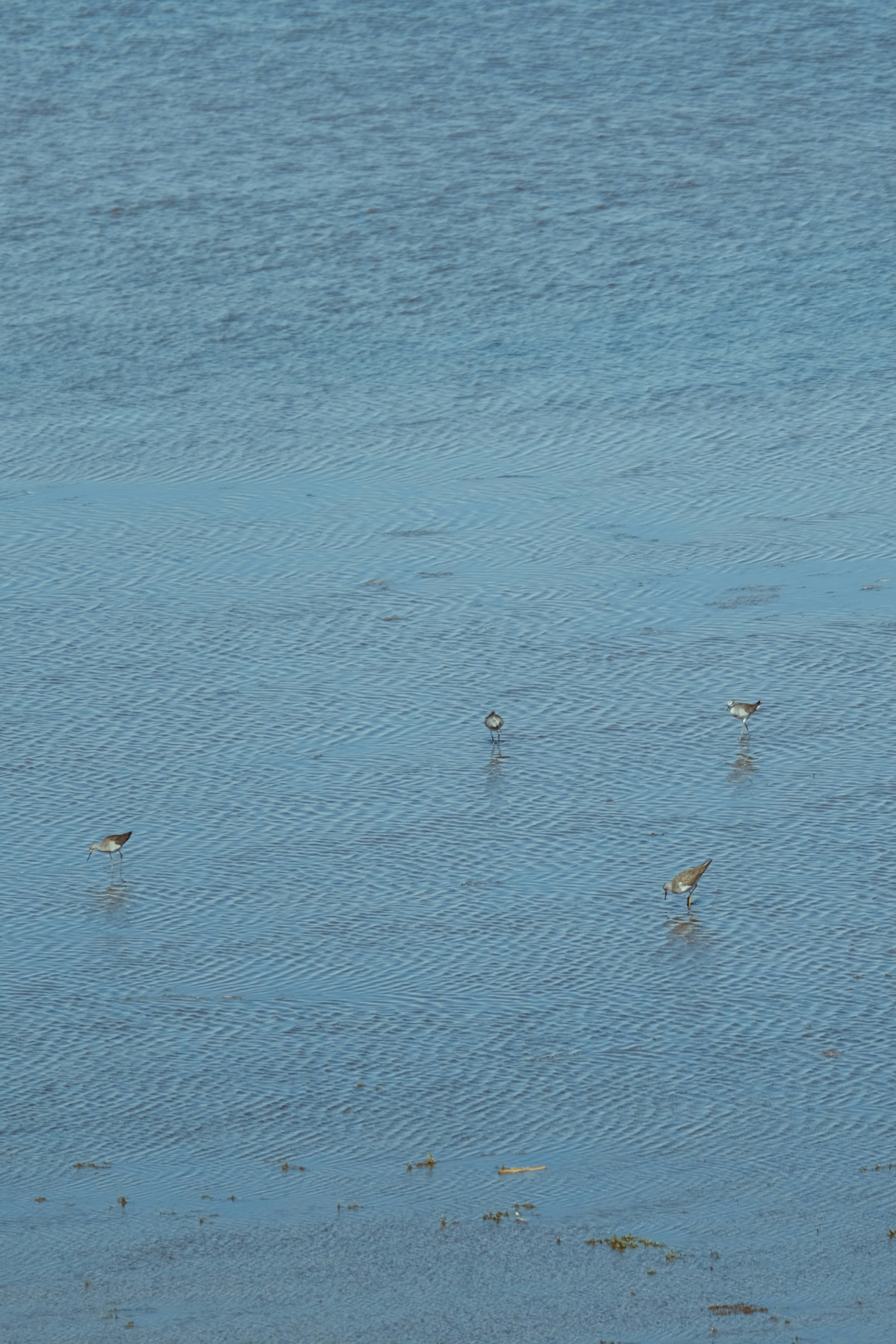 Photo by drewster456