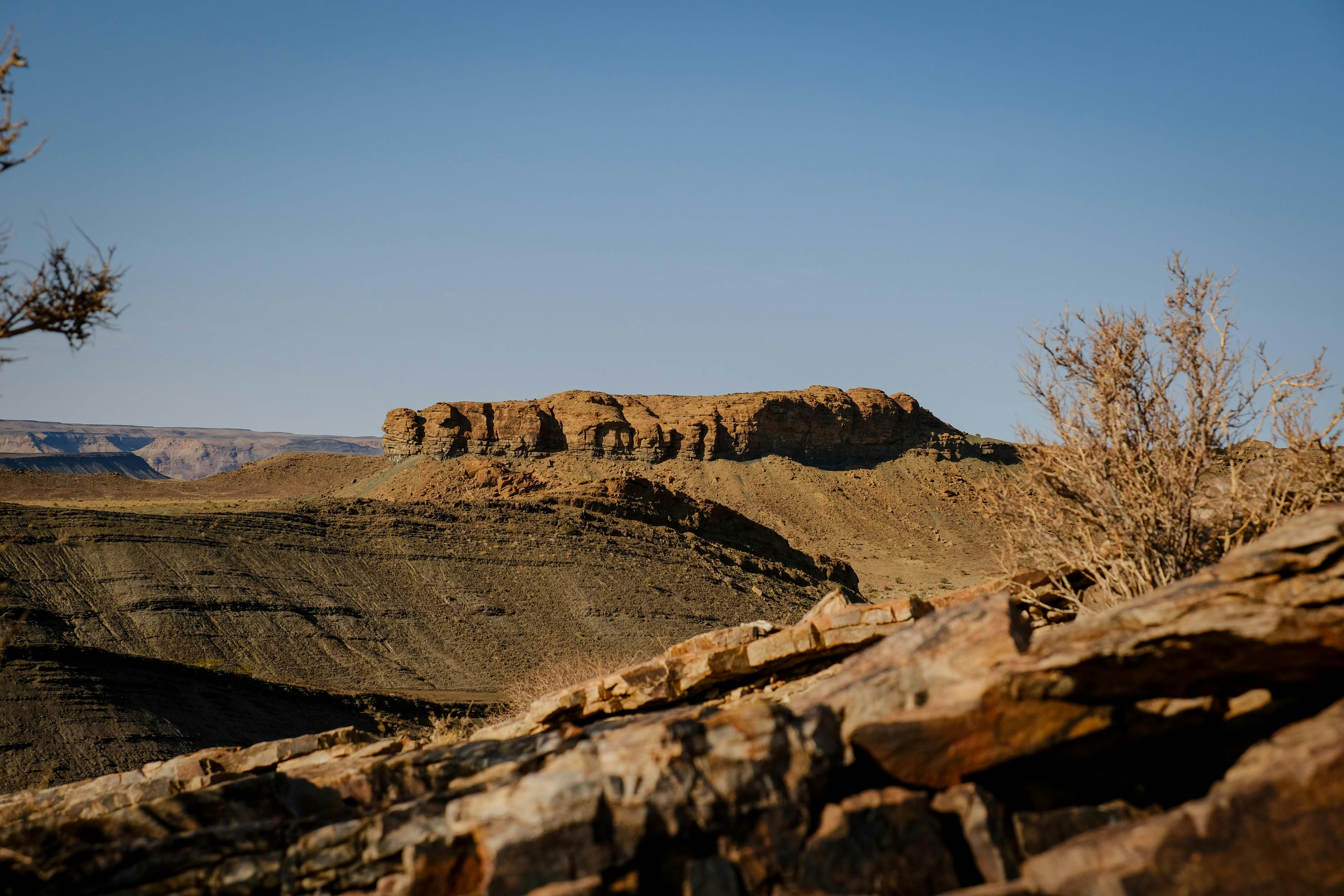 Photo by francesco_ungaro