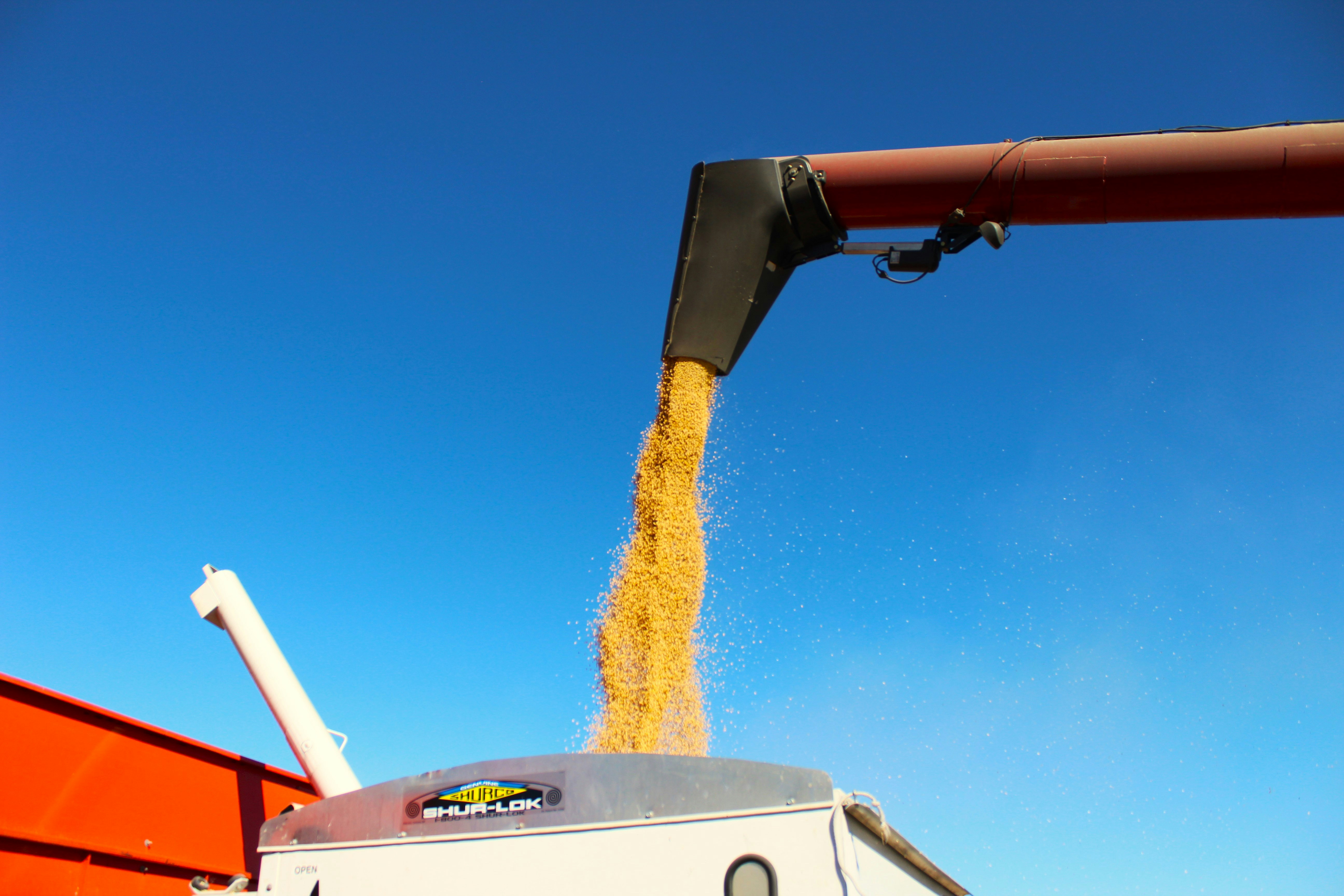 A truck is dumping grain into a bin