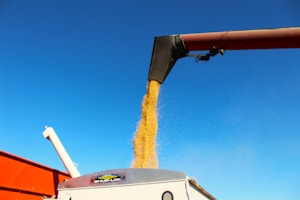 A truck is dumping grain into a bin