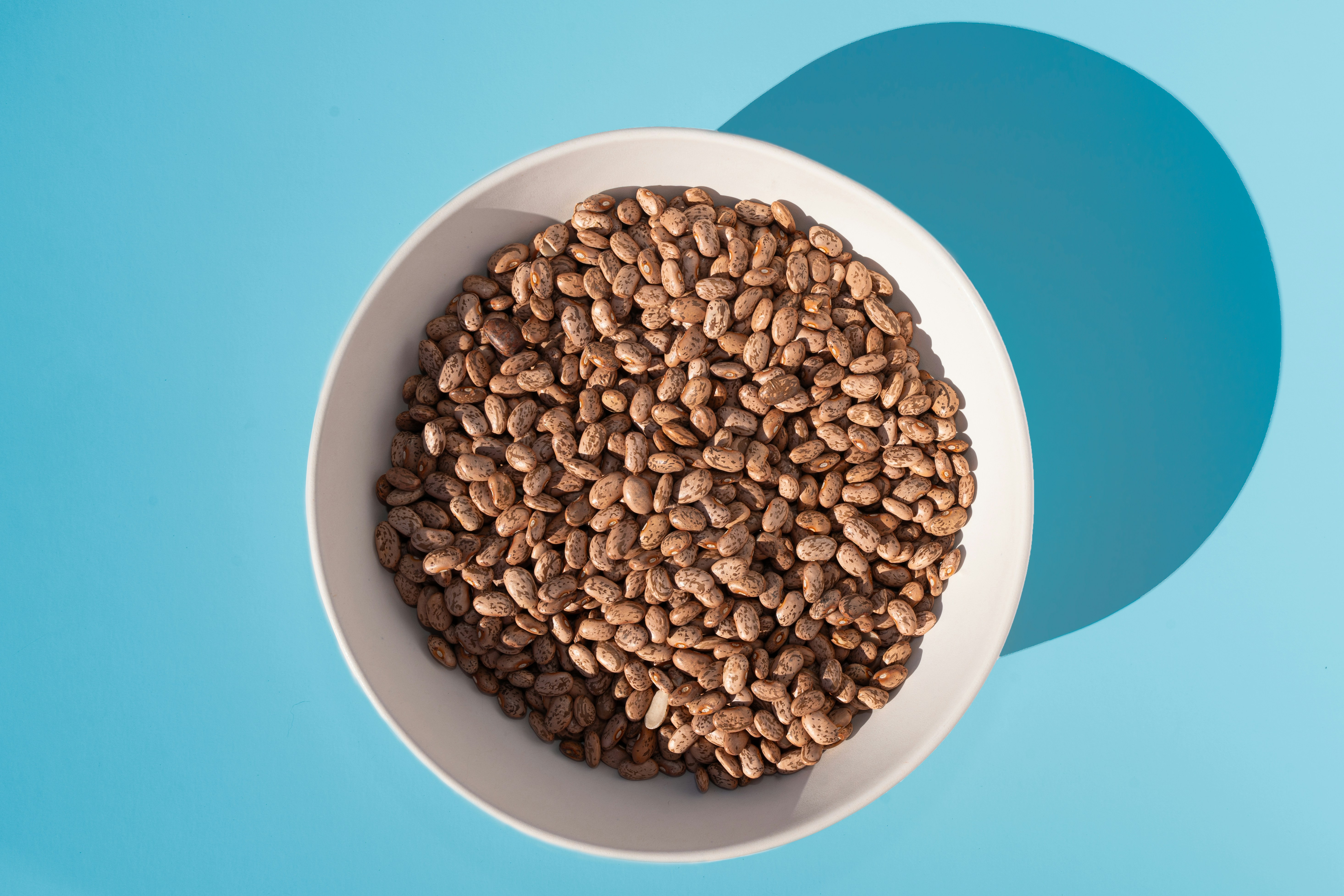 Grain Free Kitten Food for Sensitive Stomachs and Diarrhea Relief