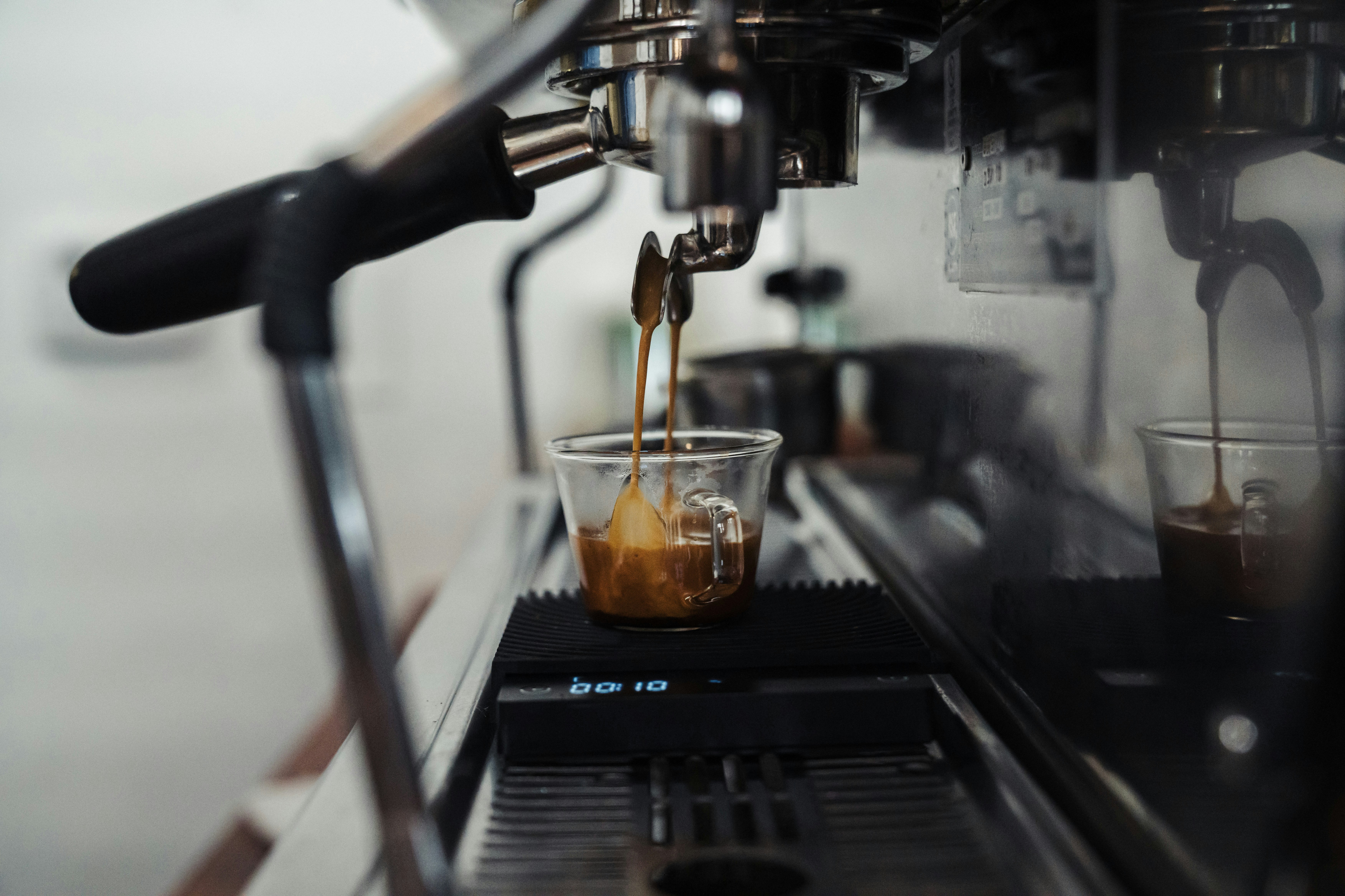 Photo by _wonderinthewild