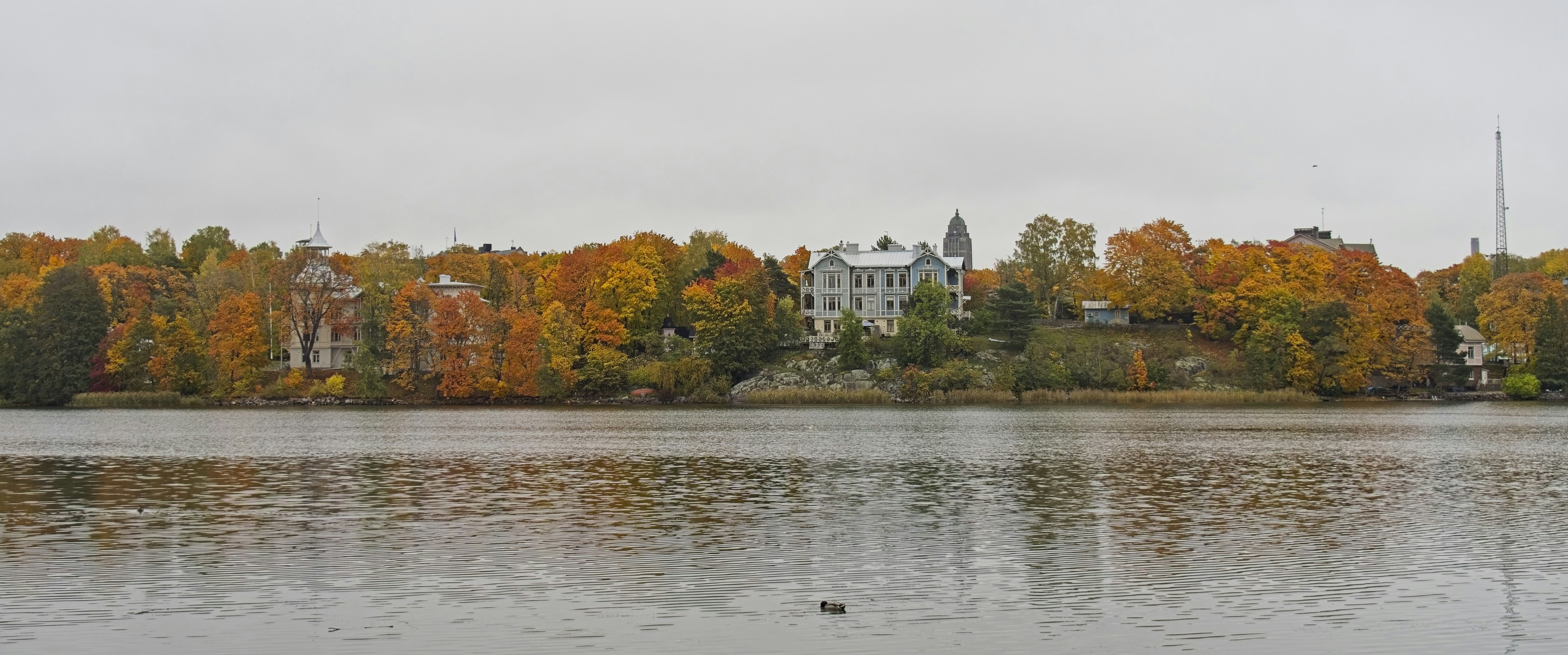 A large body of water surrounded by trees