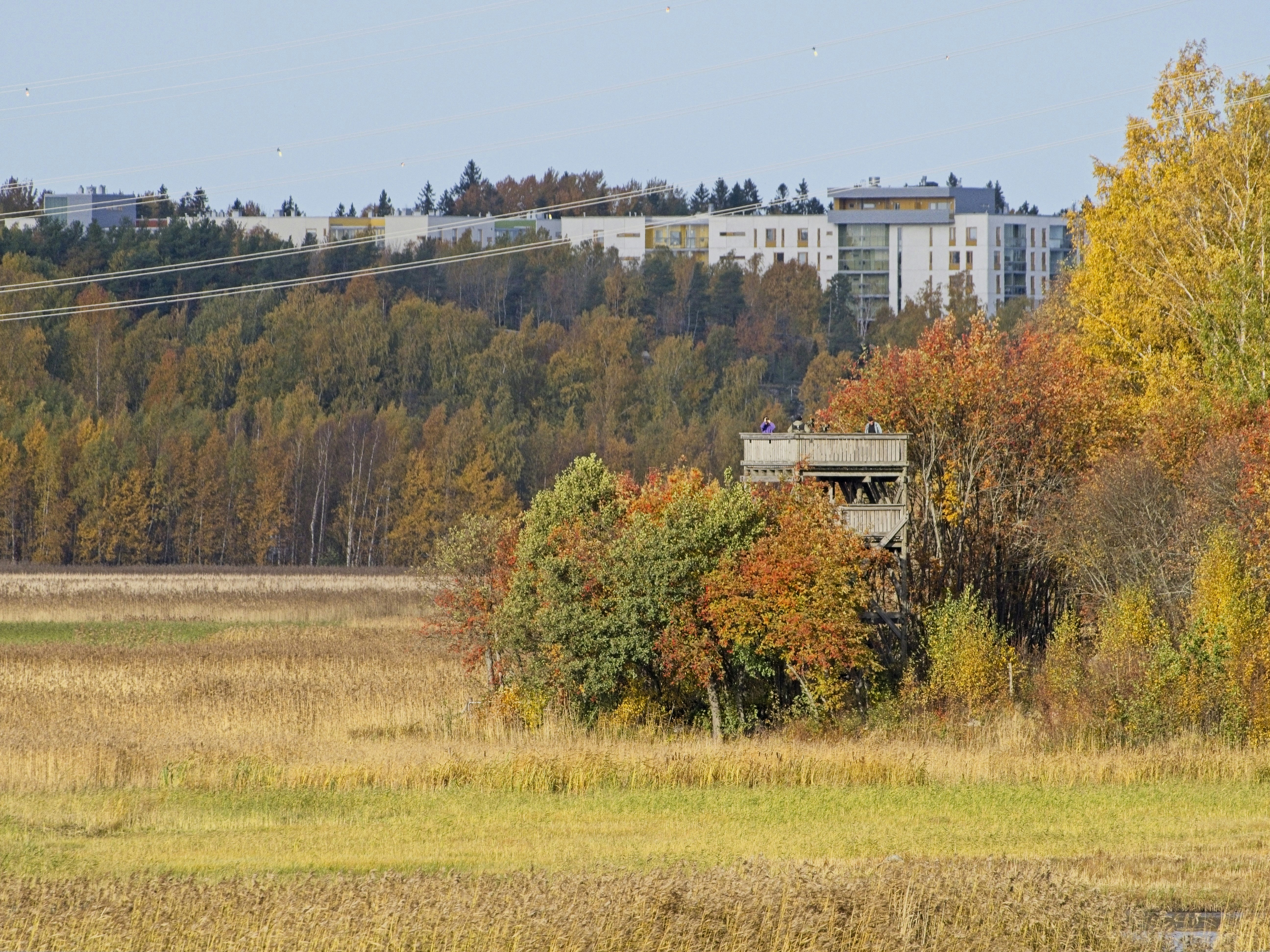 A field with a building in the background