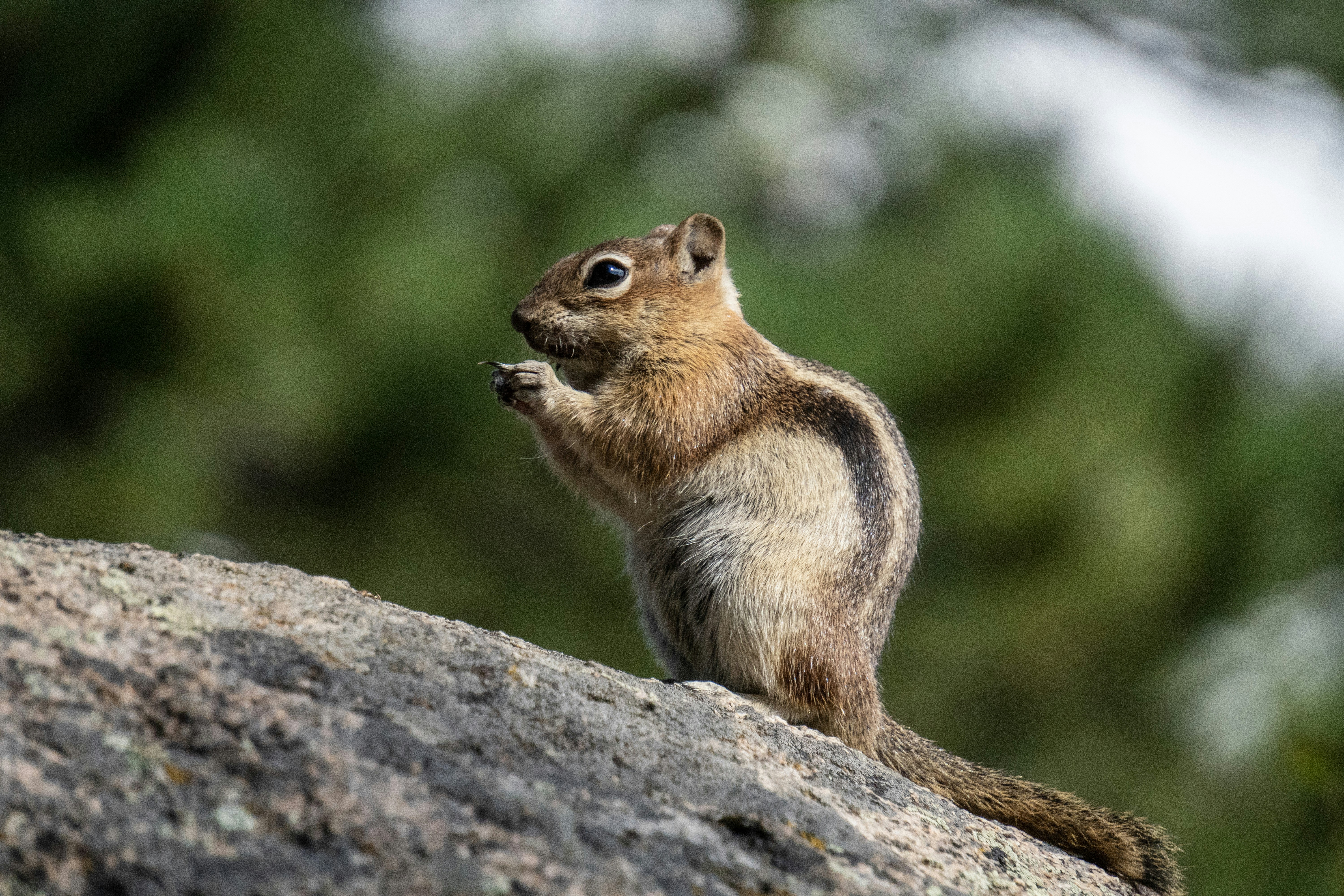 Photo by pmayorphotos