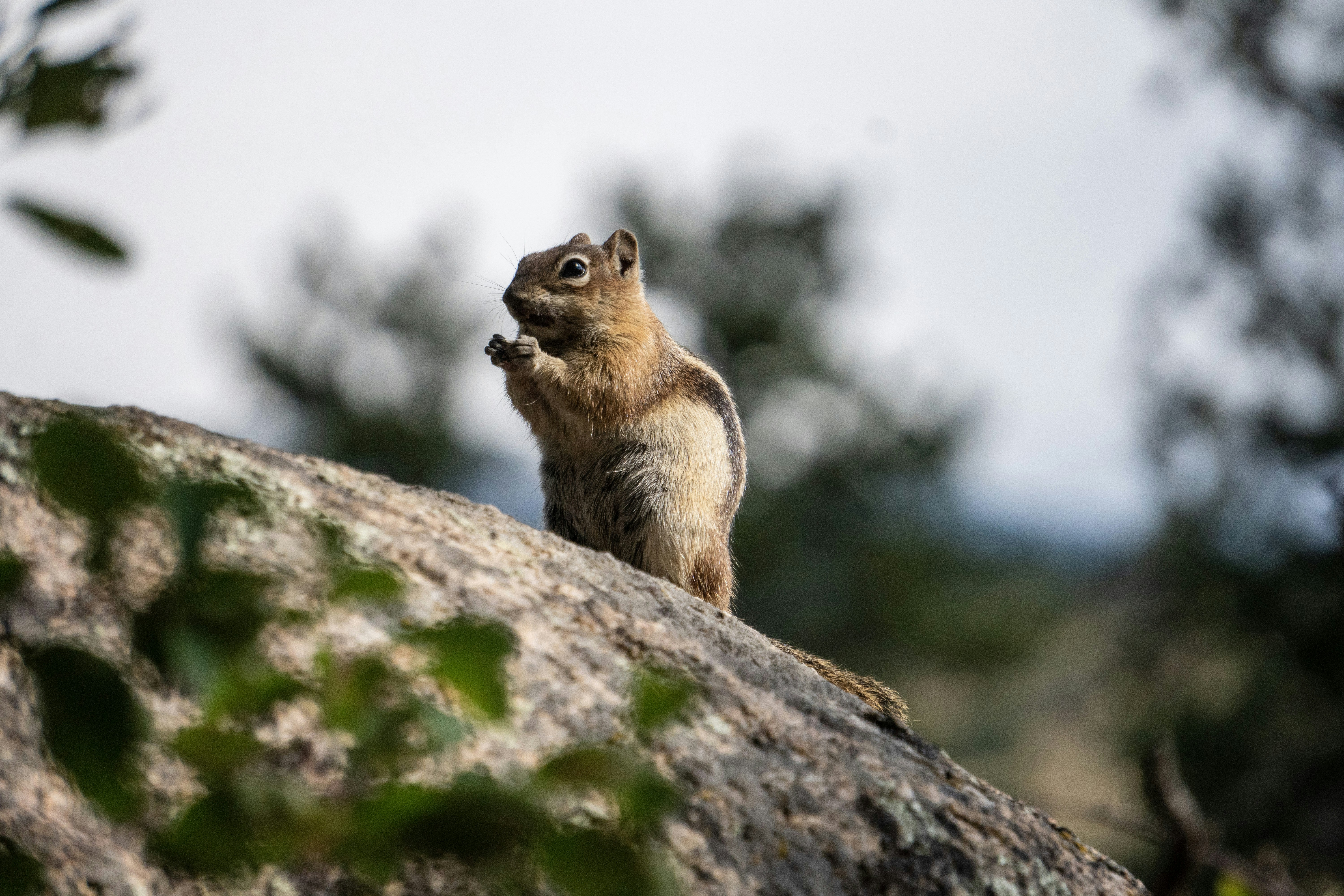 Photo by pmayorphotos