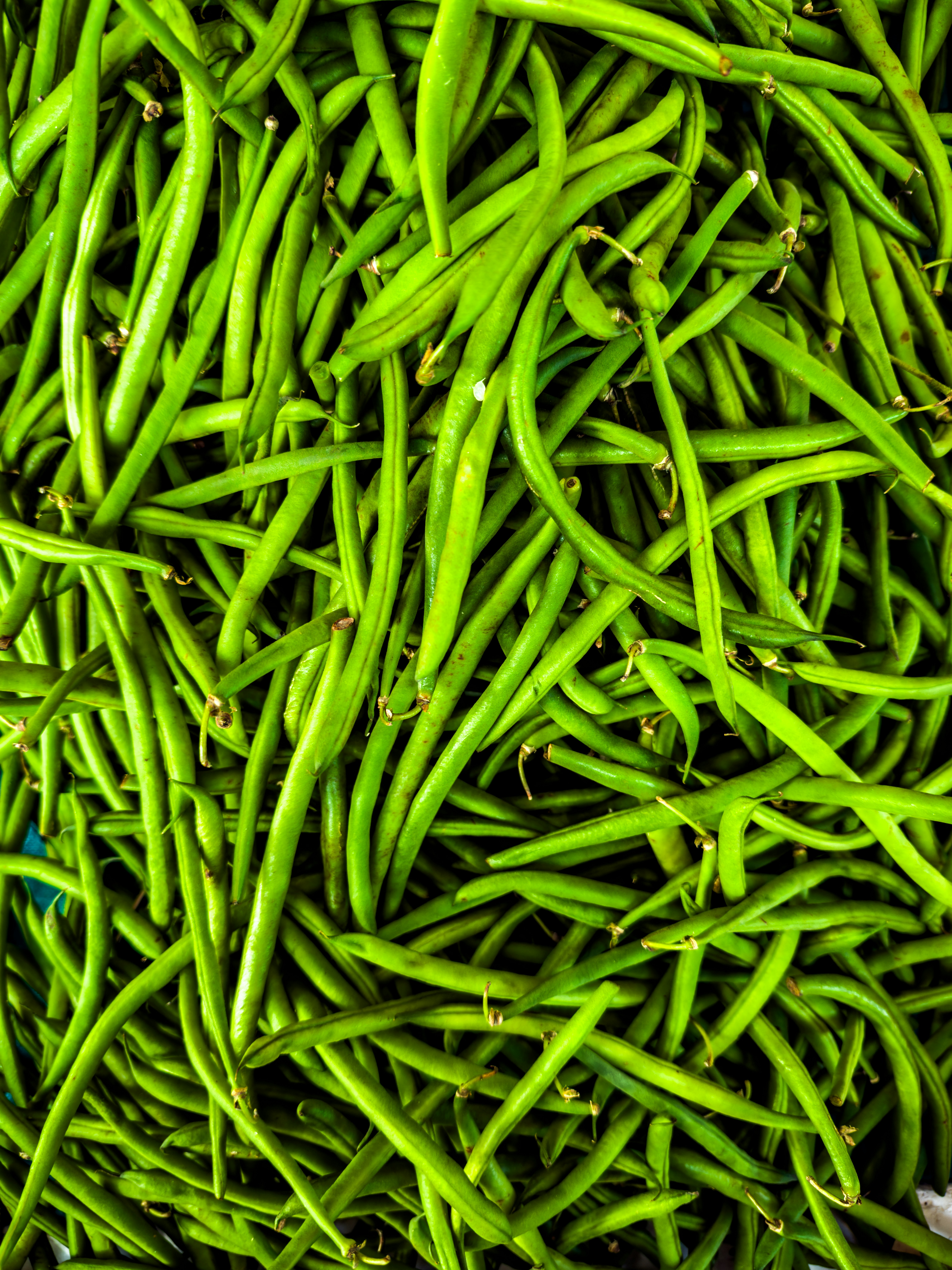 Photo by eddiepipocas