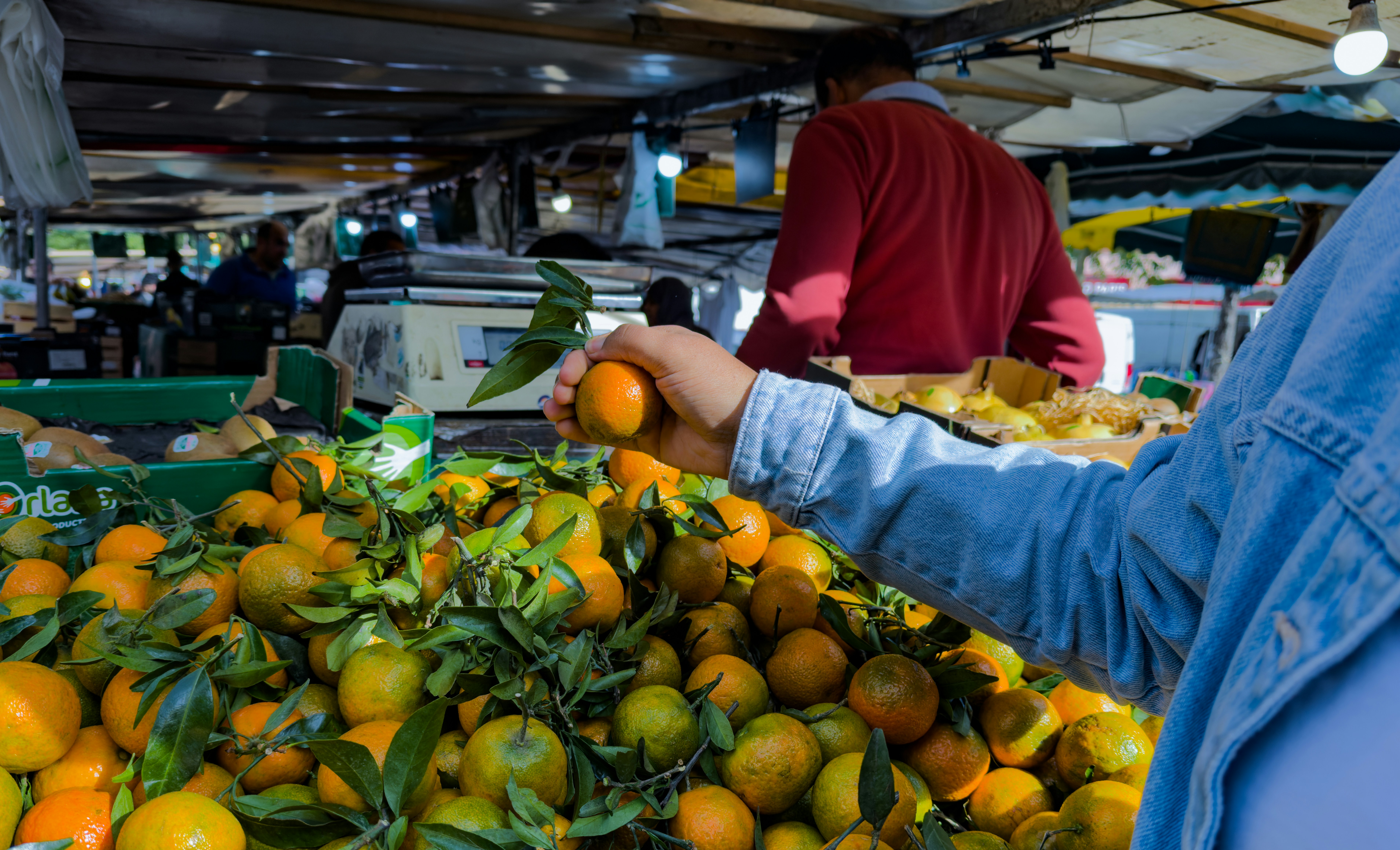 Photo by eddiepipocas