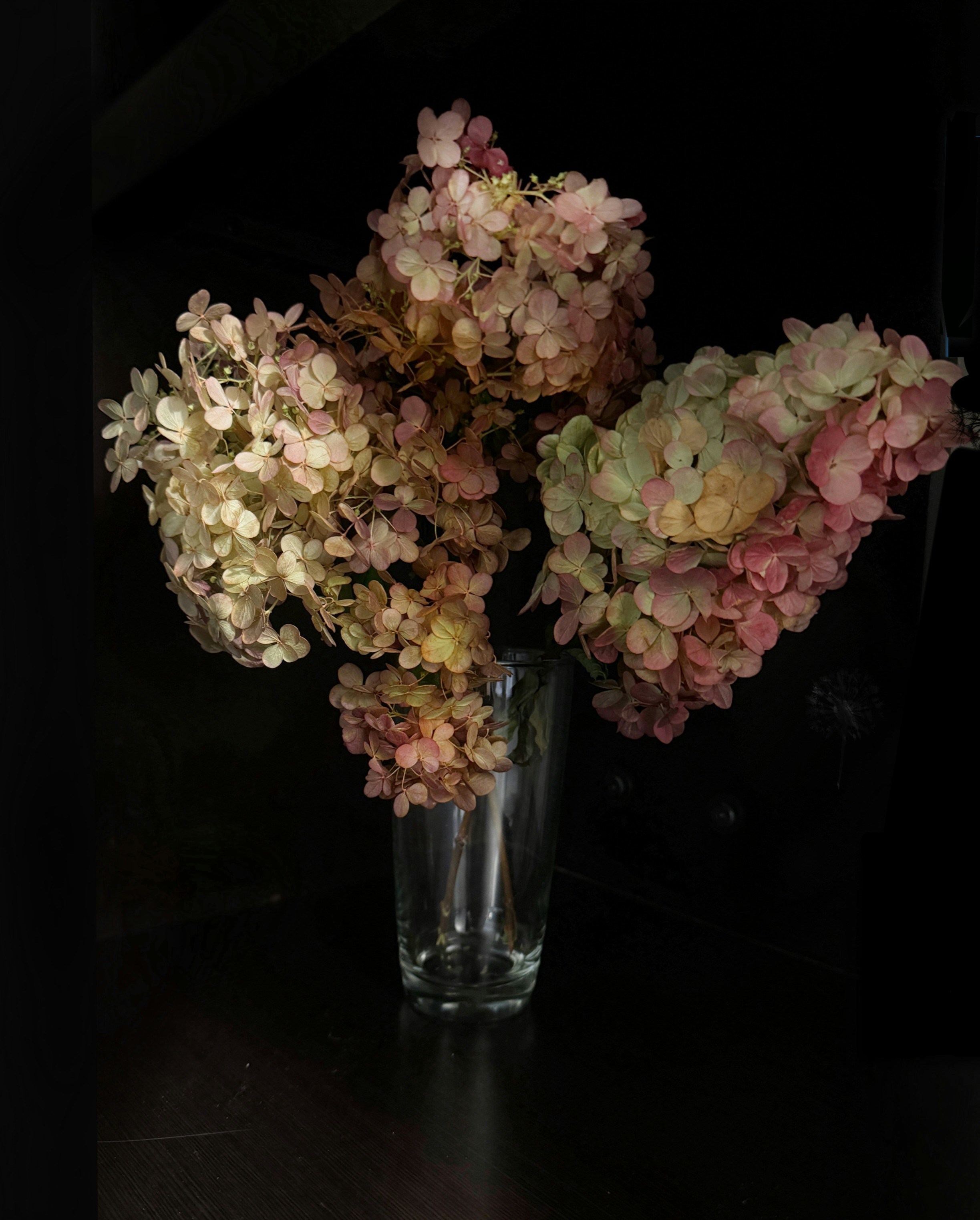 A glass vase filled with pink and white flowers