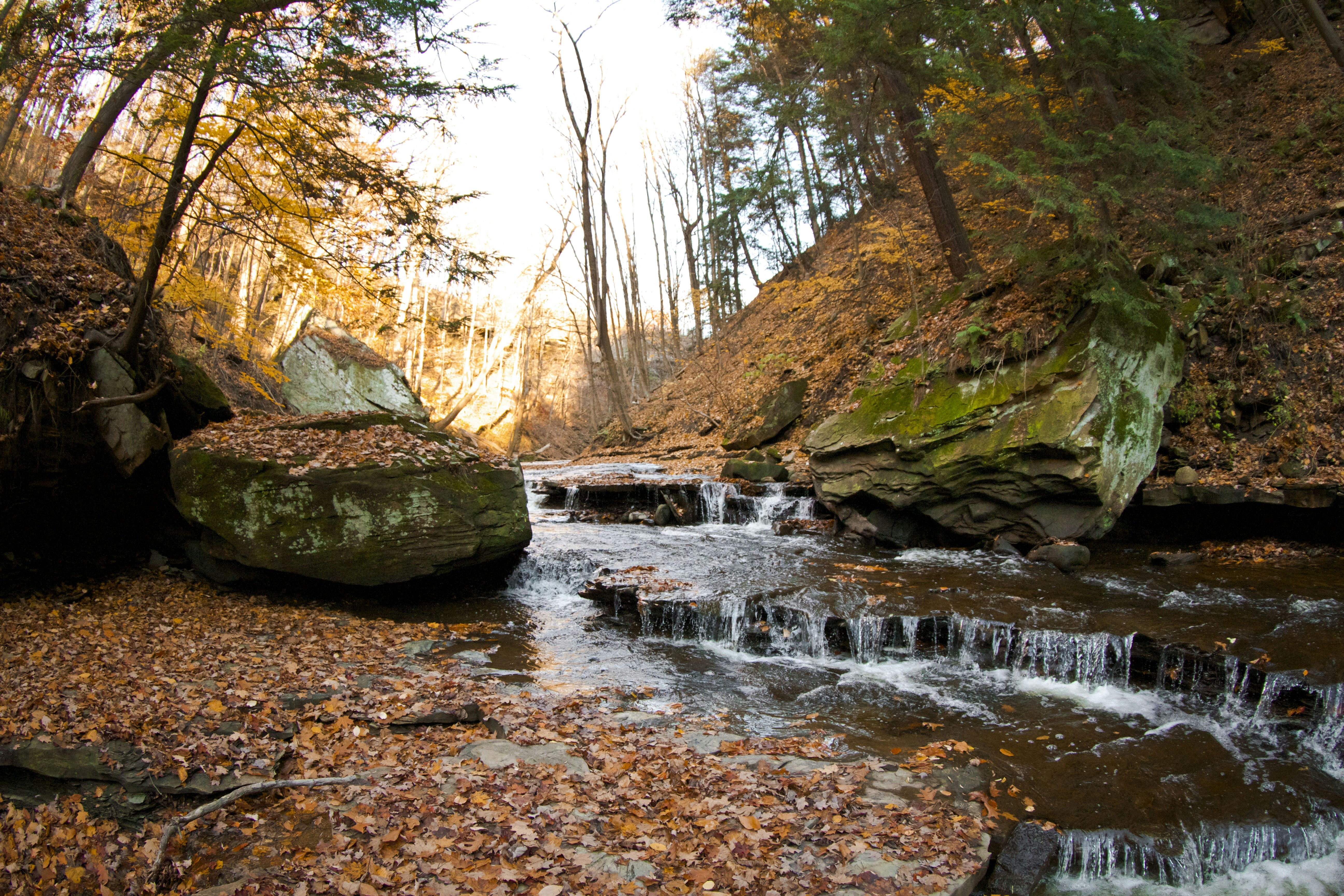 Photo by leo_visions_