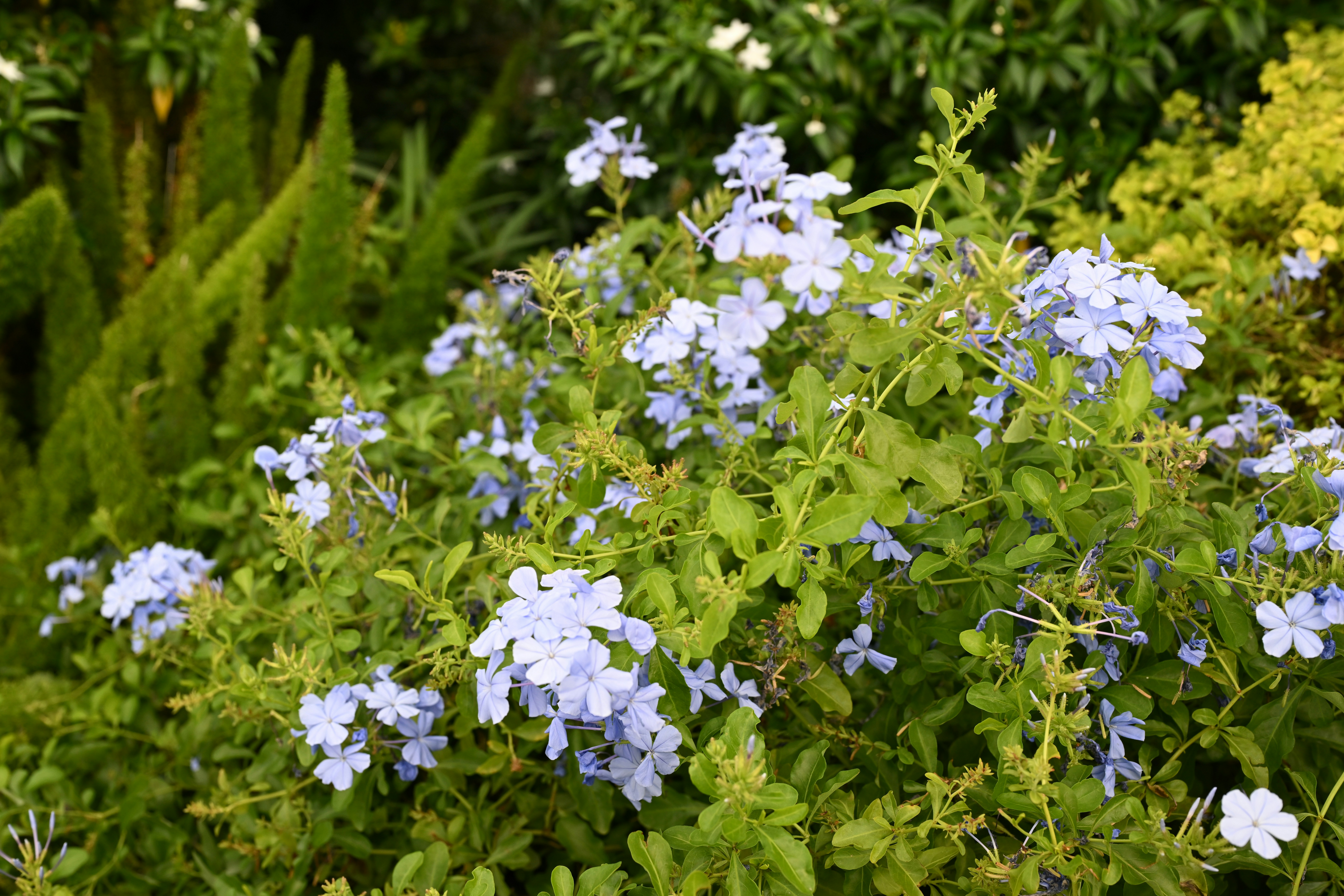 Photo by zhouchuanming