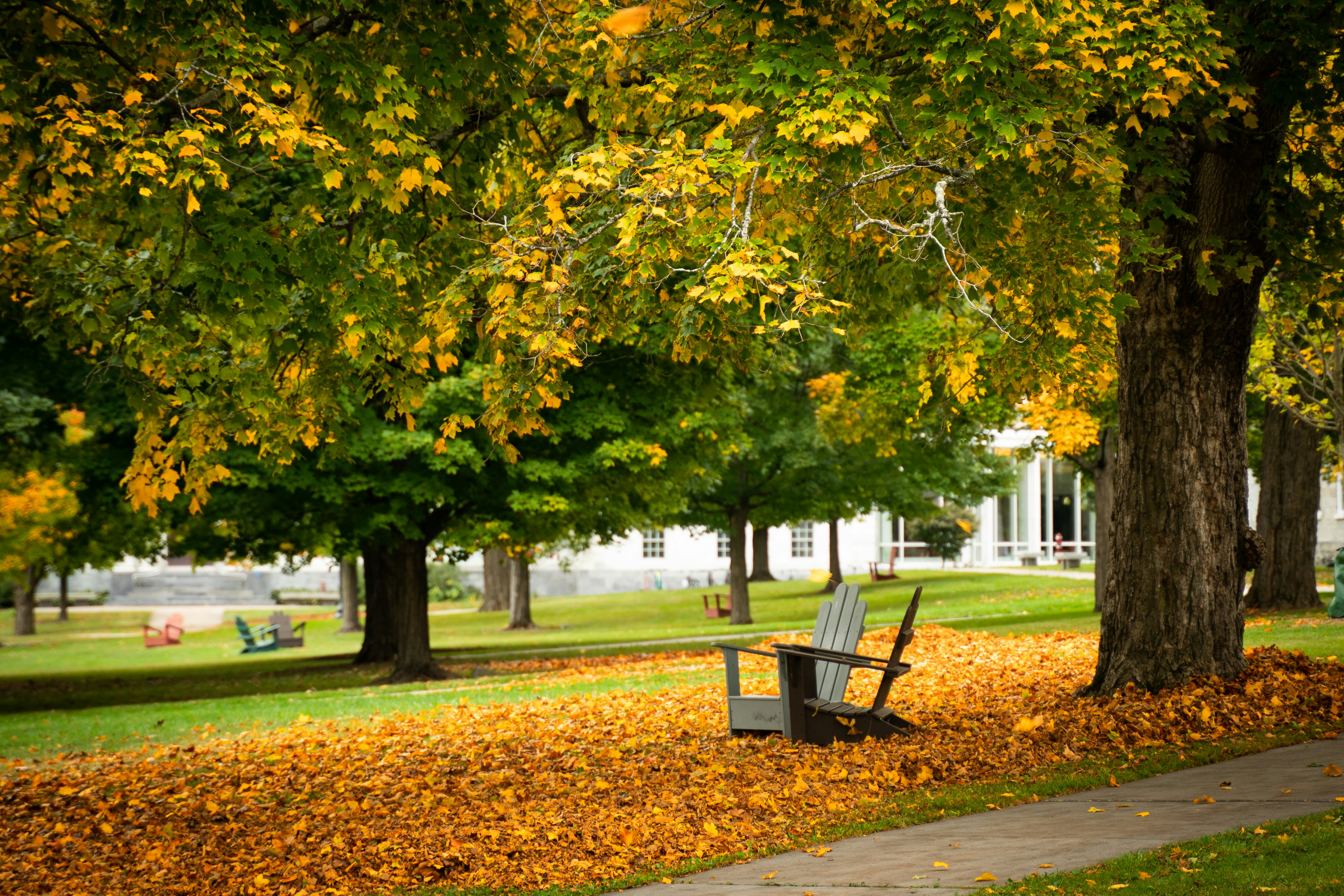 Photo by austin_7792