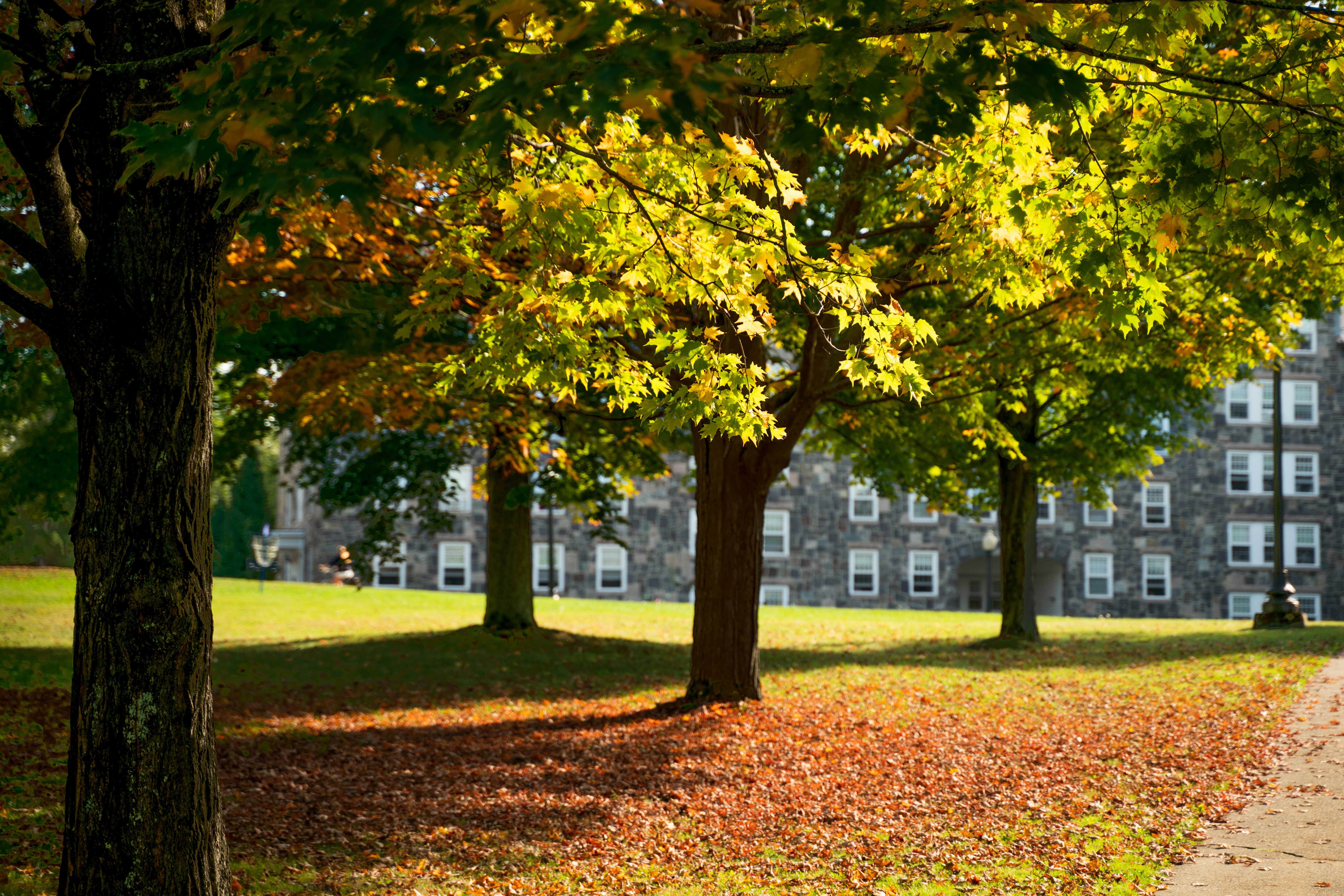 Photo by austin_7792