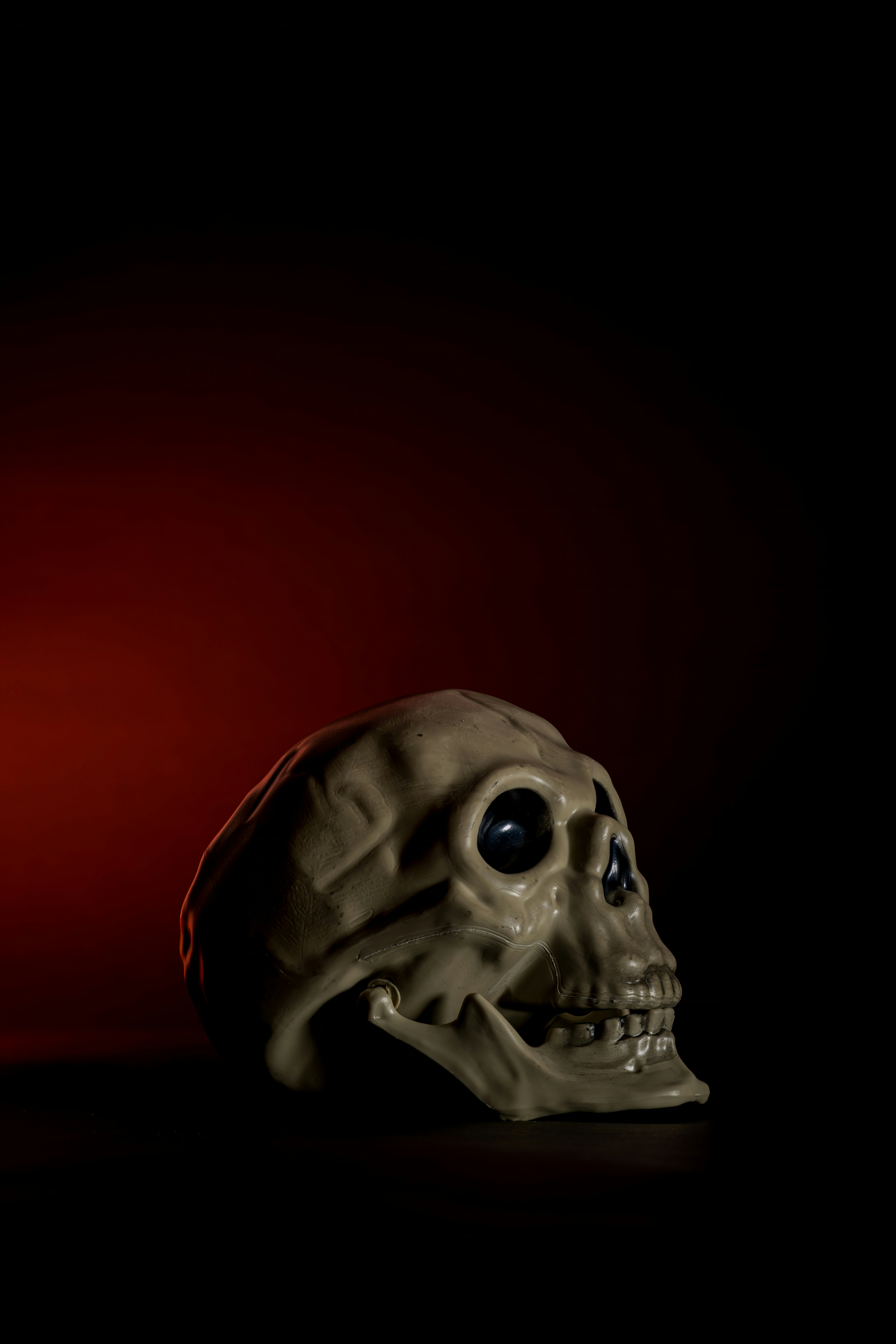 Photo by alexandredaoust