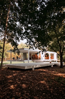 A house in the middle of a forest surrounded by trees