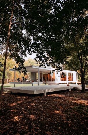 A house in the middle of a forest surrounded by trees