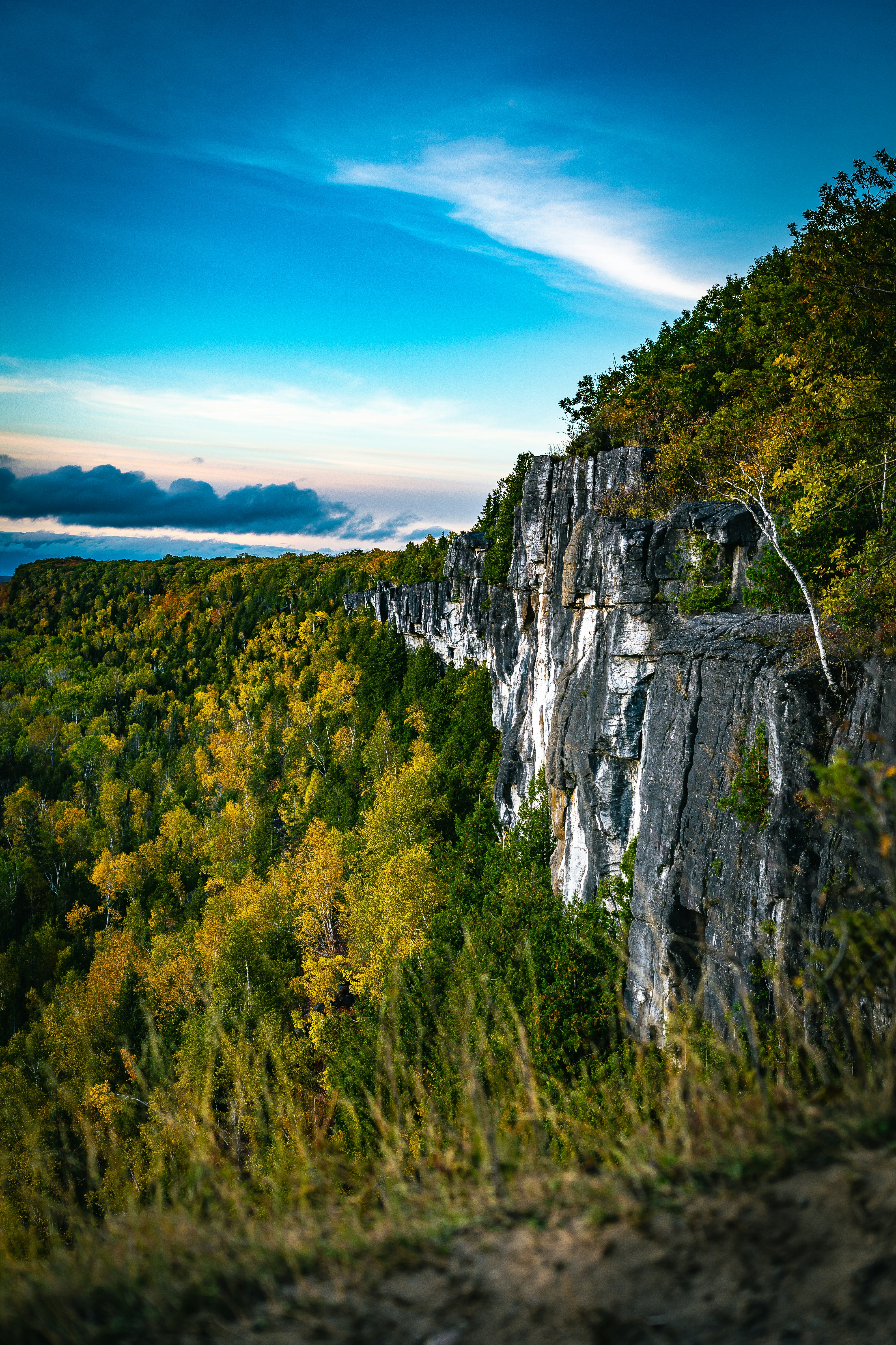 A scenic view of a cliff with trees and clouds in the background