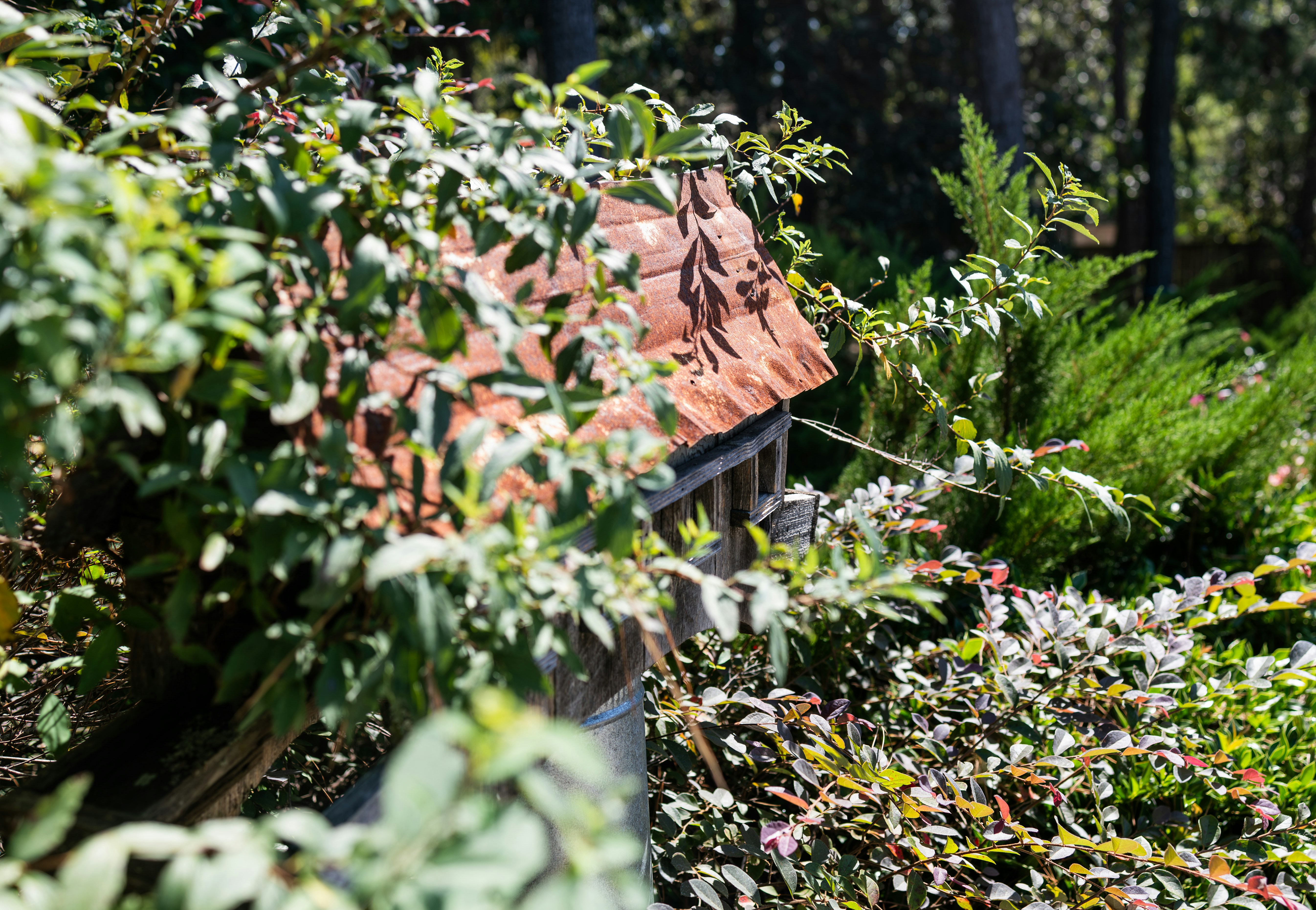 A small house in the middle of a forest