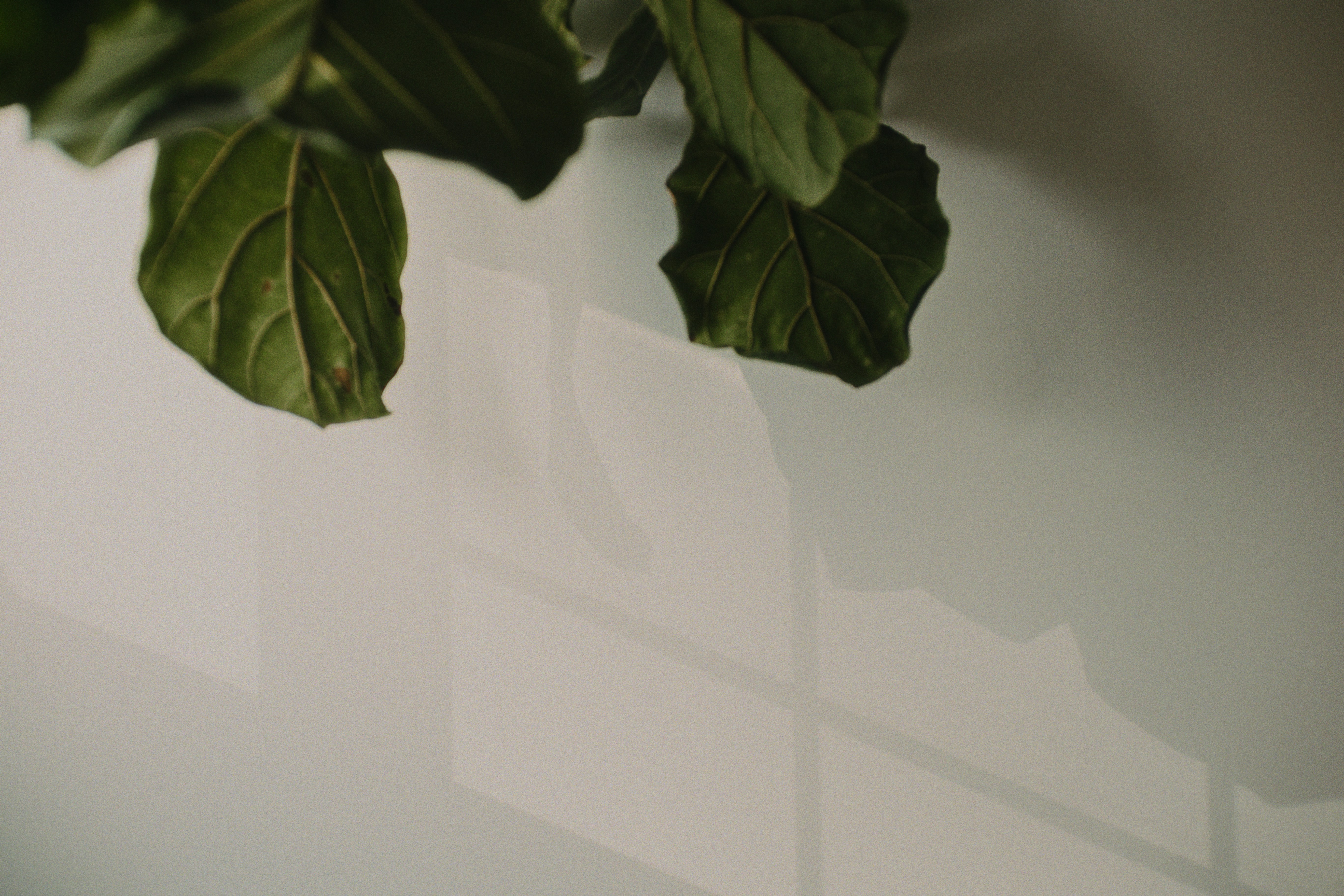 Document upload interface