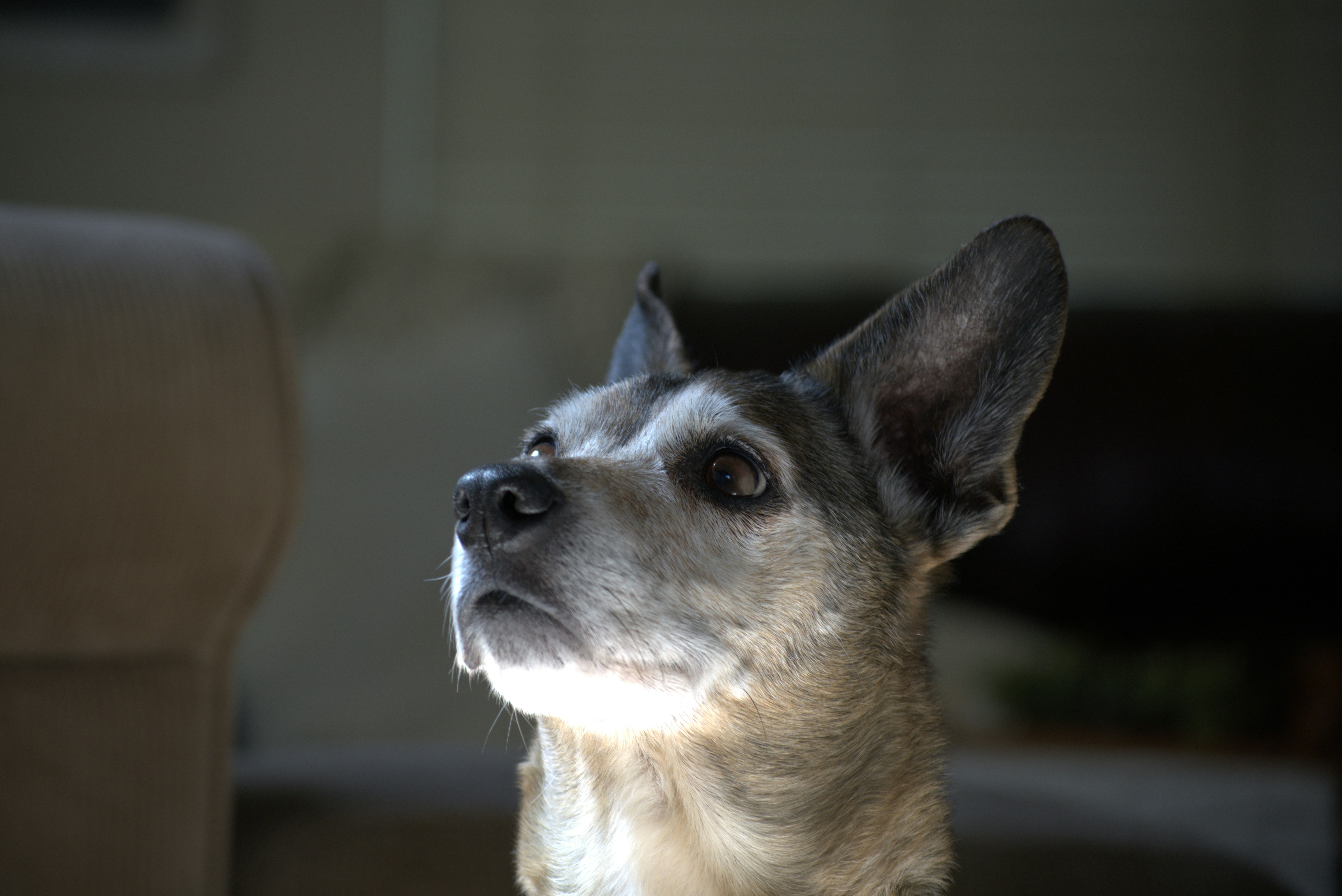 Photo by connorburger10